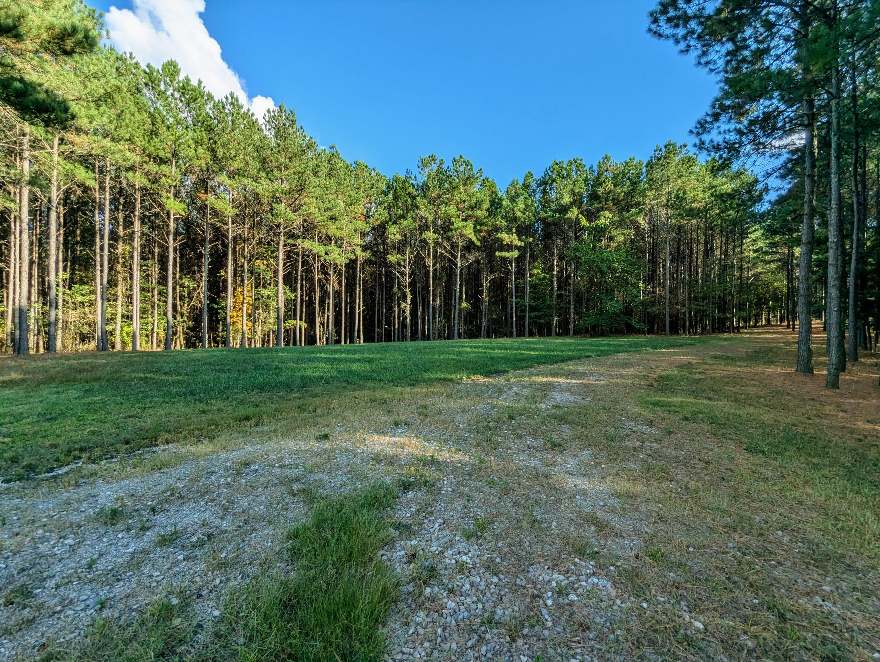 194 River Bluffs Drive, Jasper, Tennessee image 4
