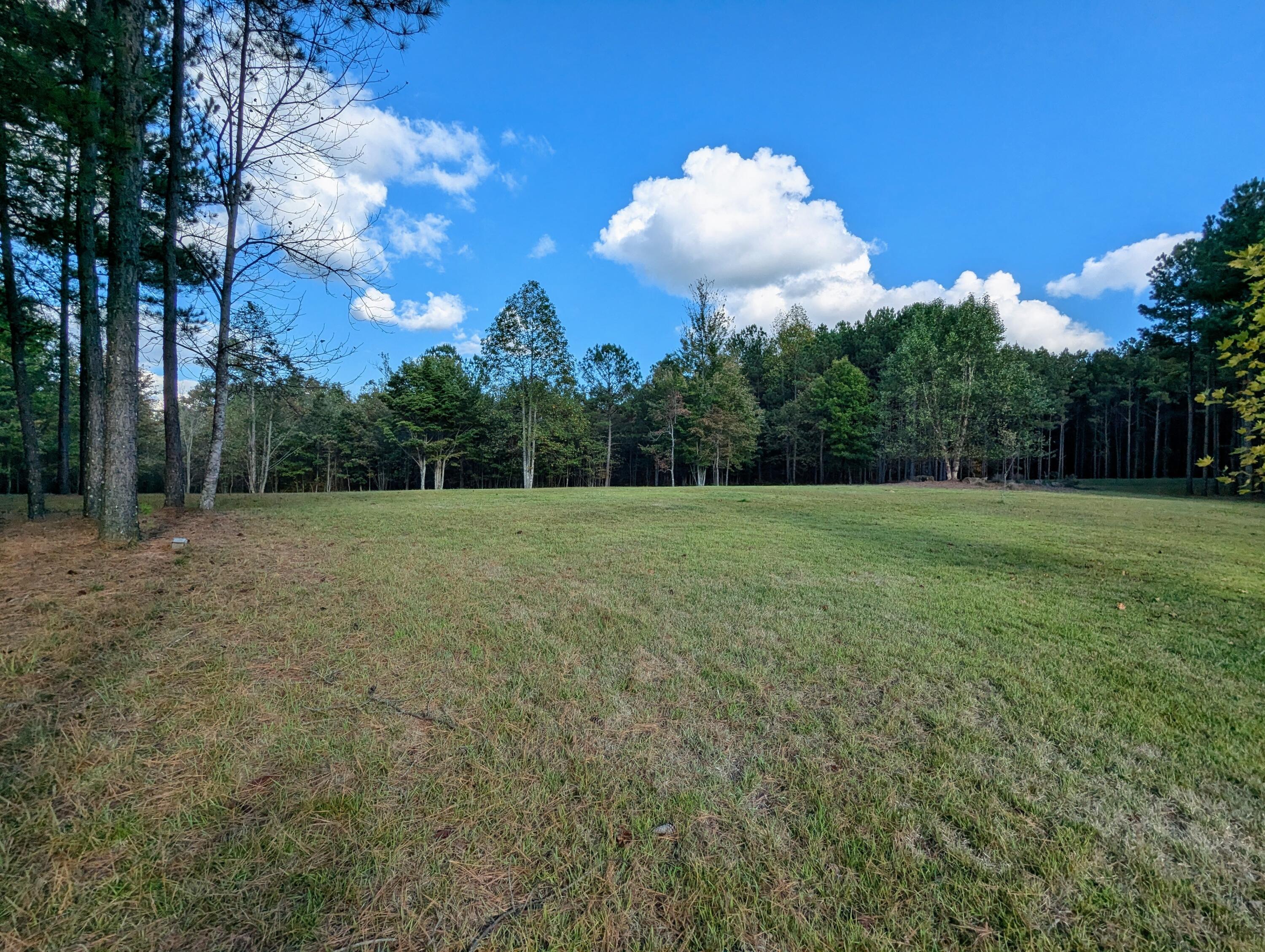 194 River Bluffs Drive, Jasper, Tennessee image 13