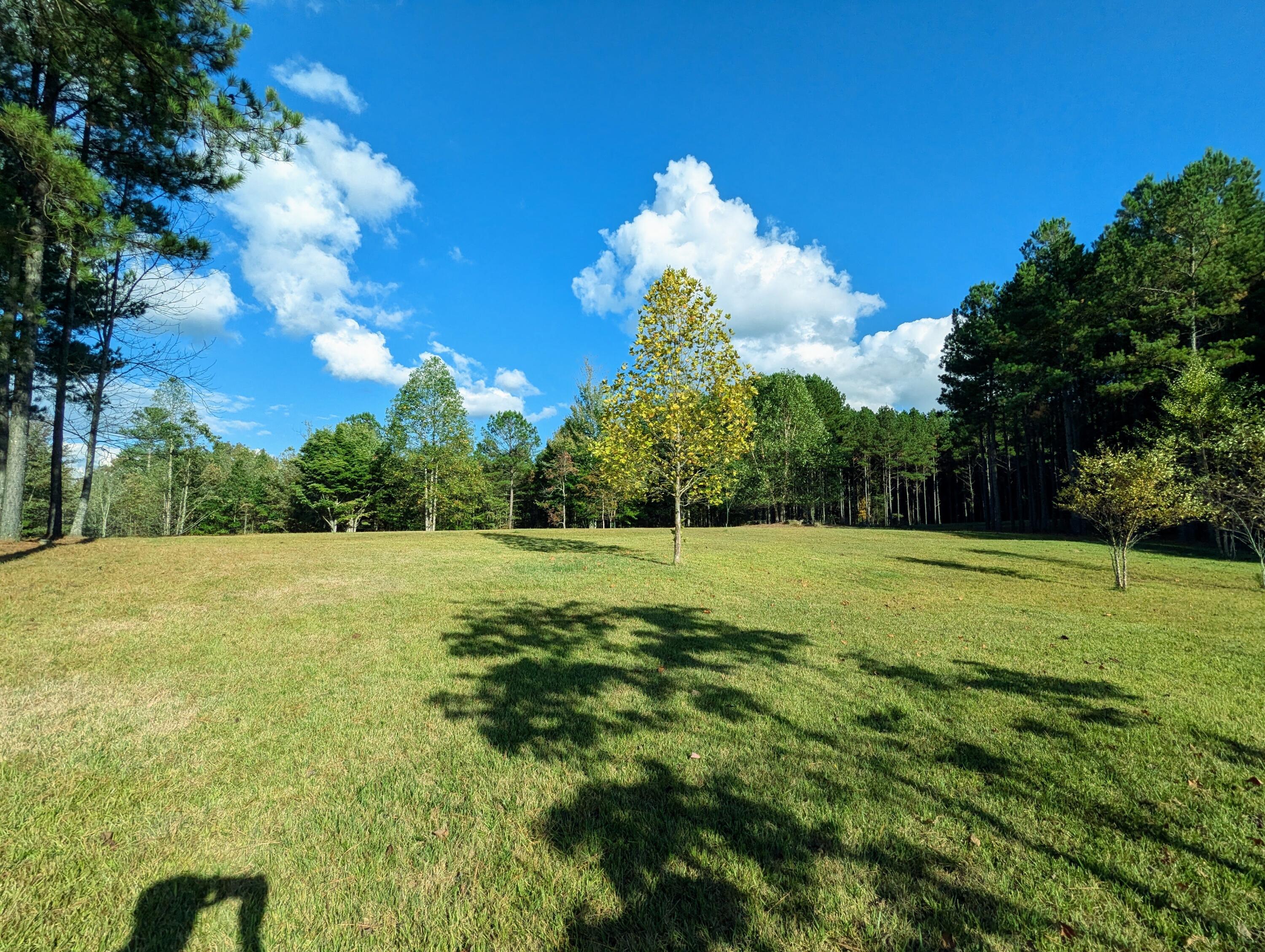 194 River Bluffs Drive, Jasper, Tennessee image 6