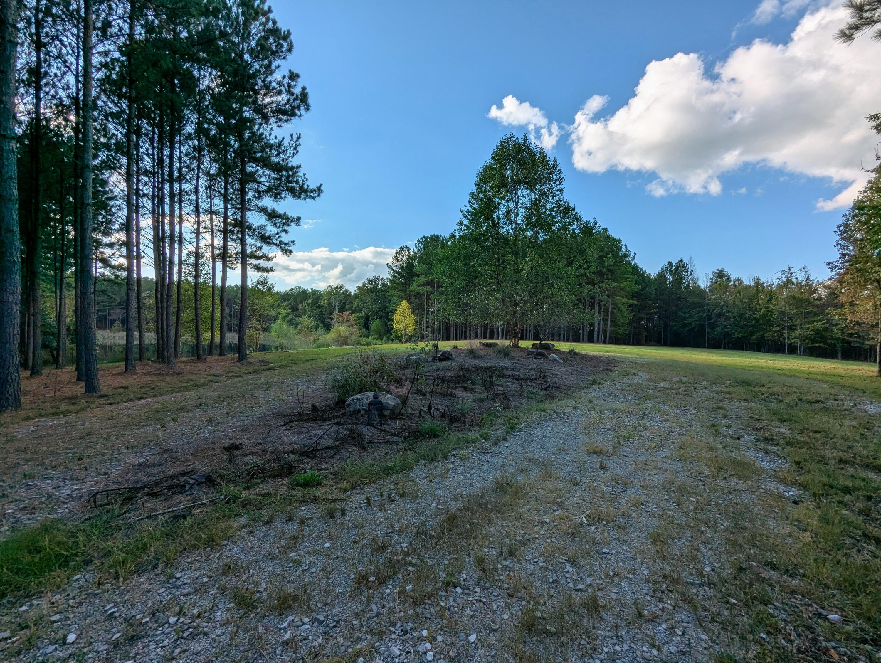 194 River Bluffs Drive, Jasper, Tennessee image 15