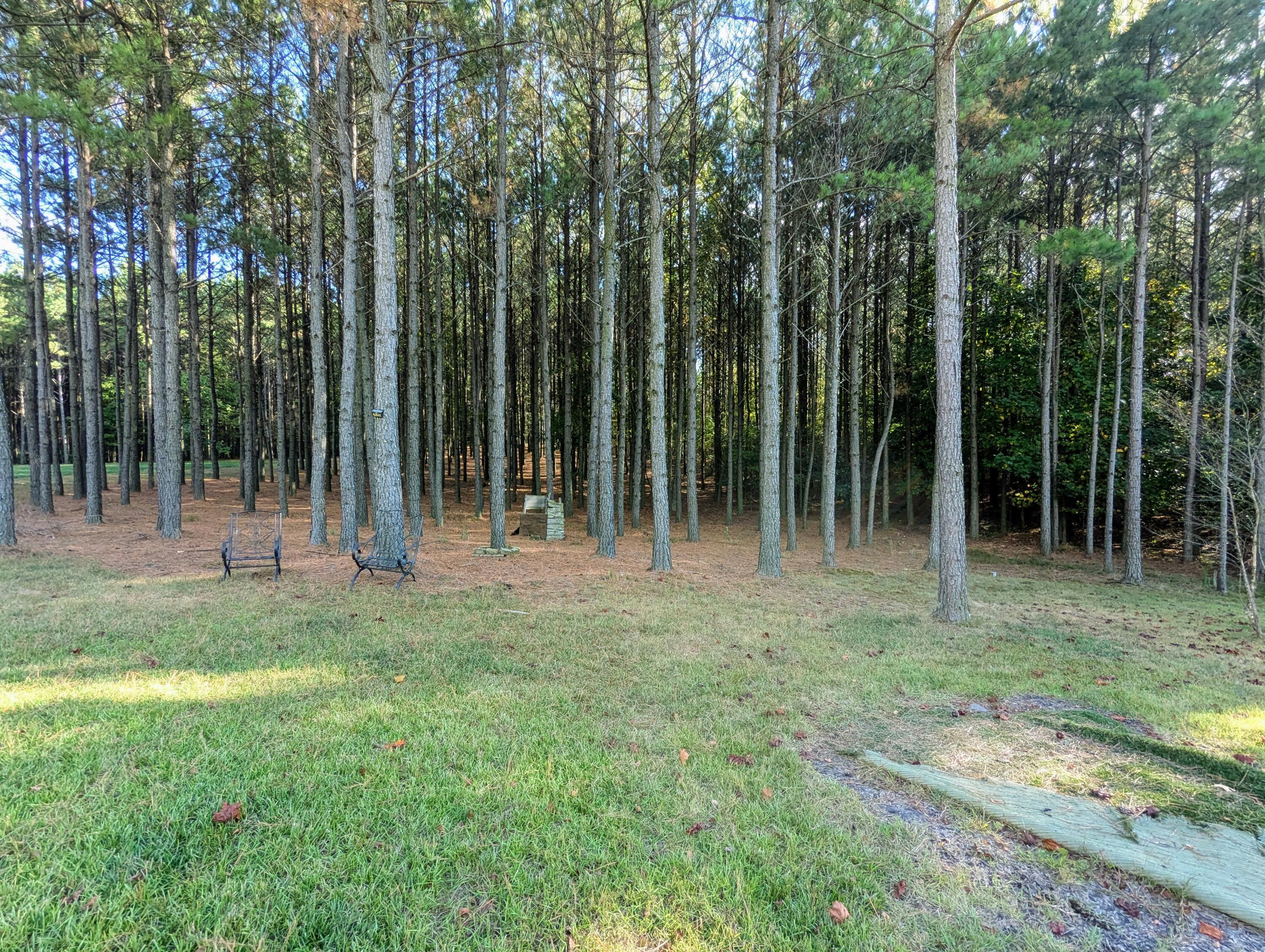 194 River Bluffs Drive, Jasper, Tennessee image 1