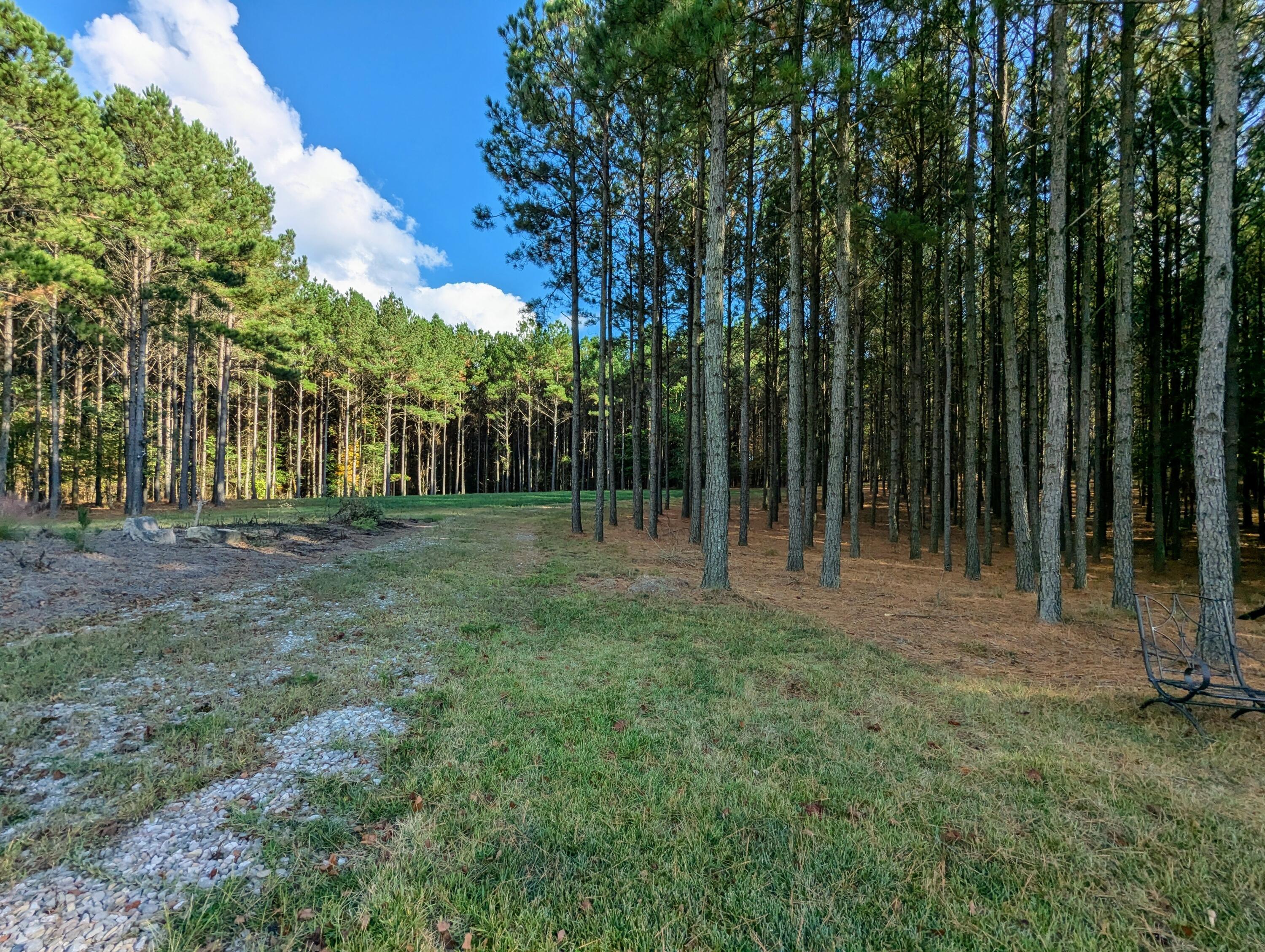 194 River Bluffs Drive, Jasper, Tennessee image 5