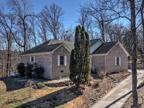Homes For Sale - 61 Lake Drive<br/> Trenton, GA 30752