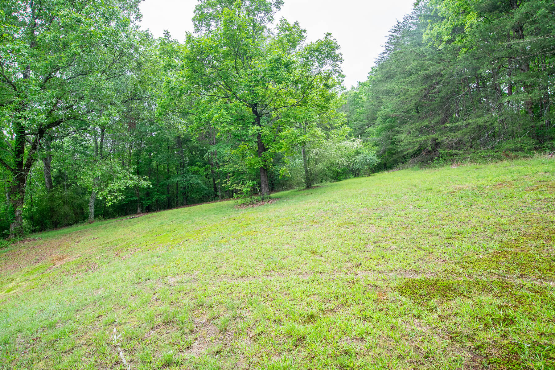 2752 Swanson Road, Ringgold, Georgia image 23