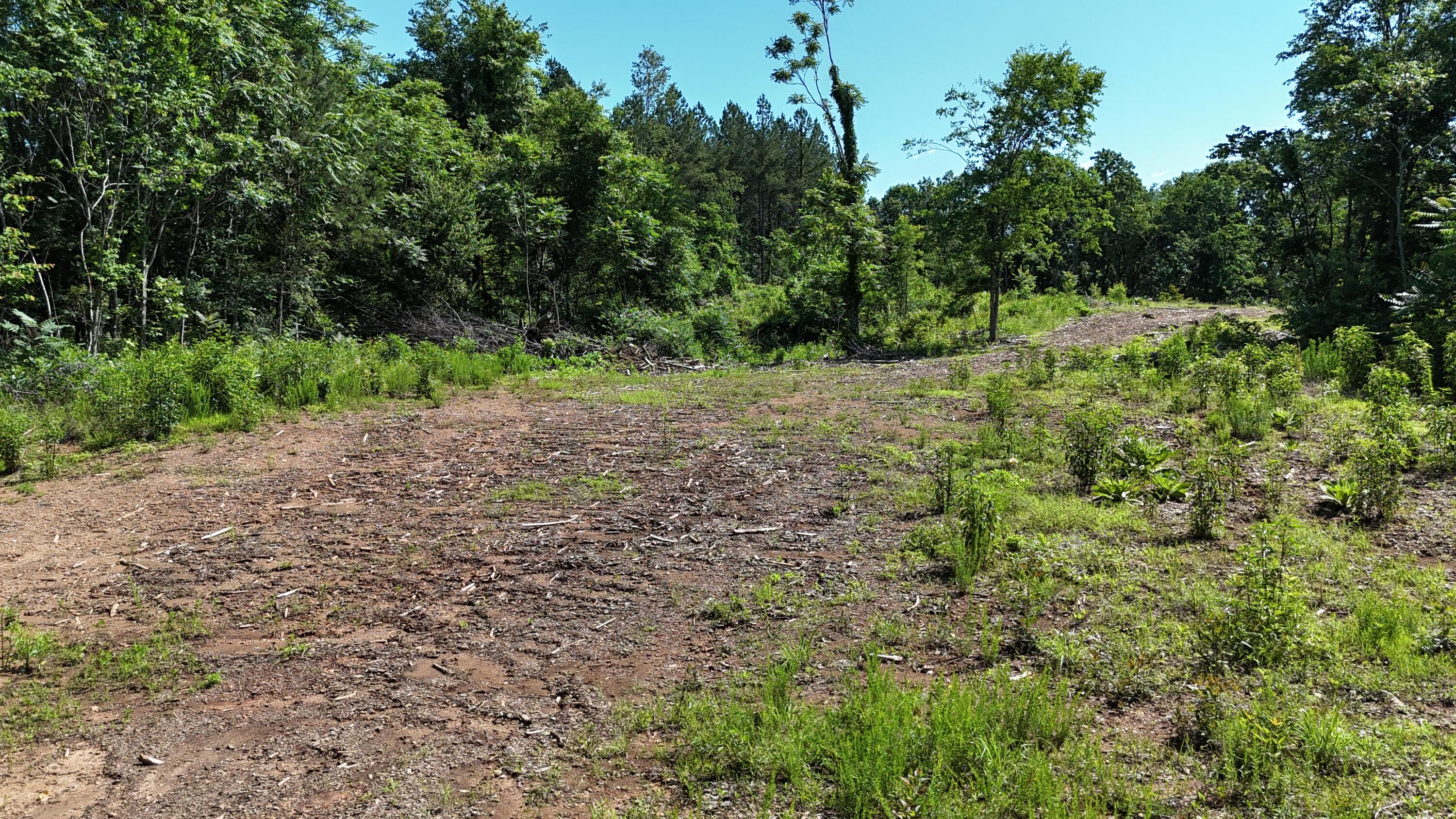 Lot 2 Lamontville Road, Decatur, Tennessee image 5