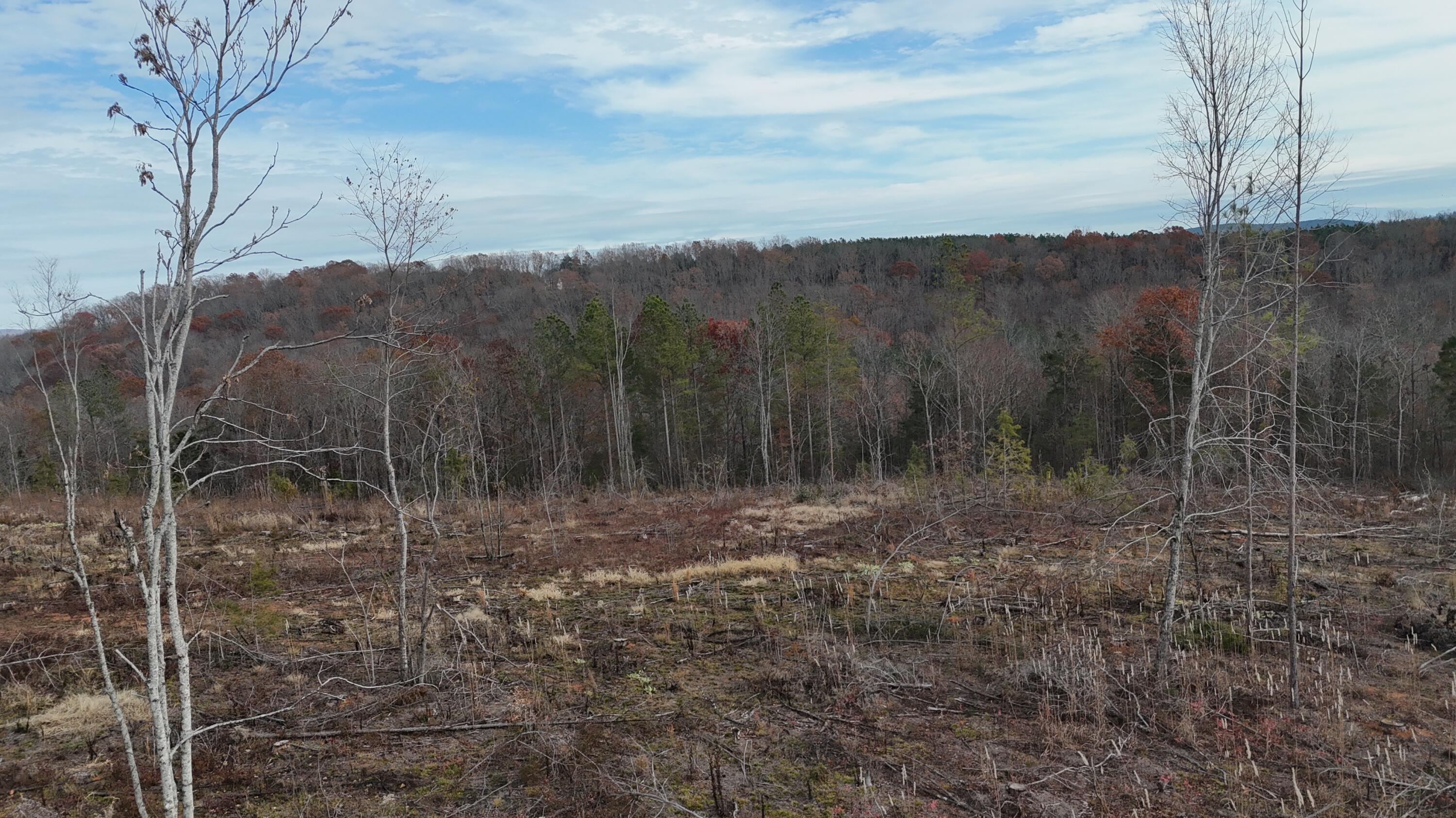 Lot 2 Lamontville Road, Decatur, Tennessee image 14