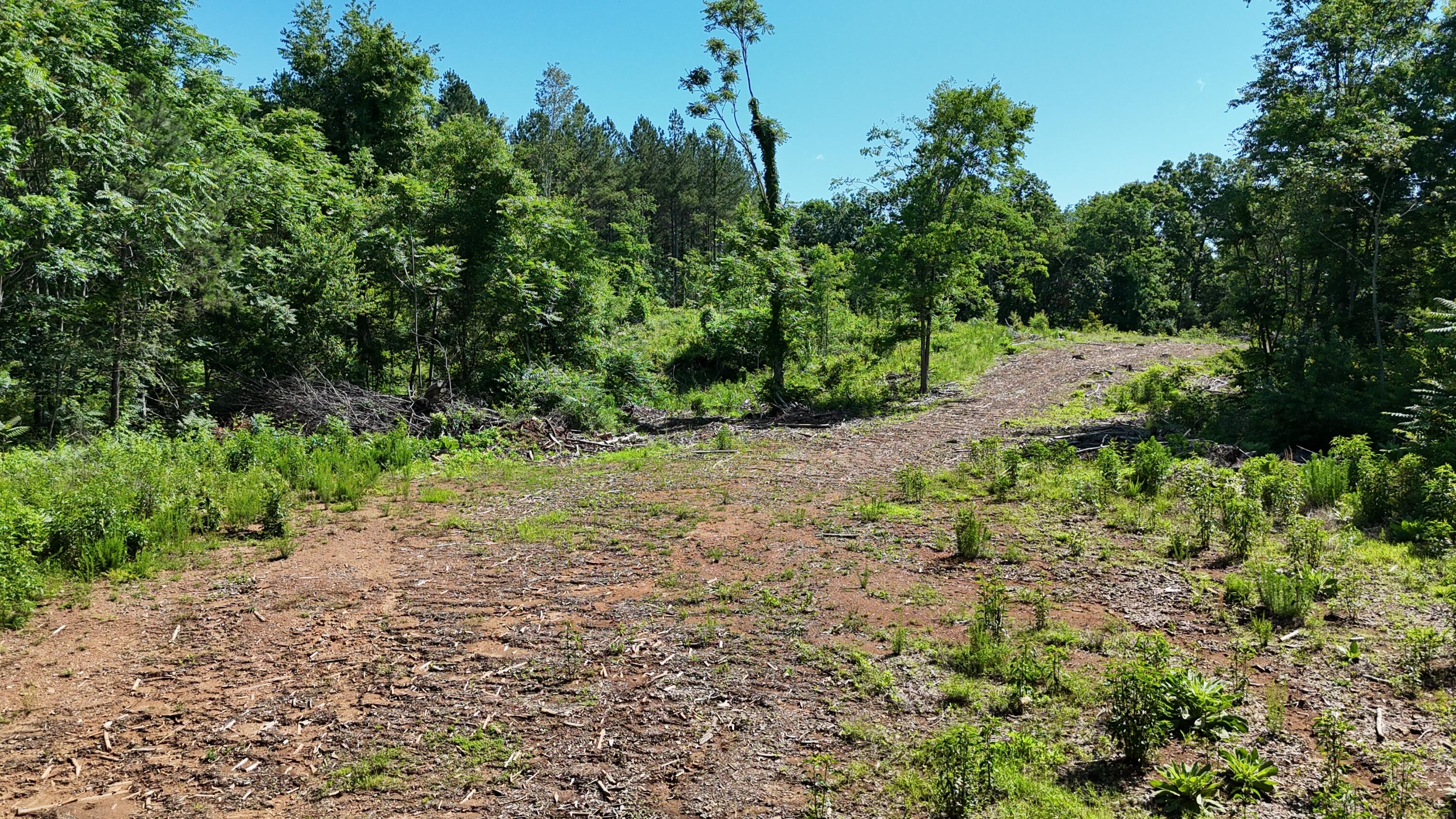 Lot 2 Lamontville Road, Decatur, Tennessee image 4