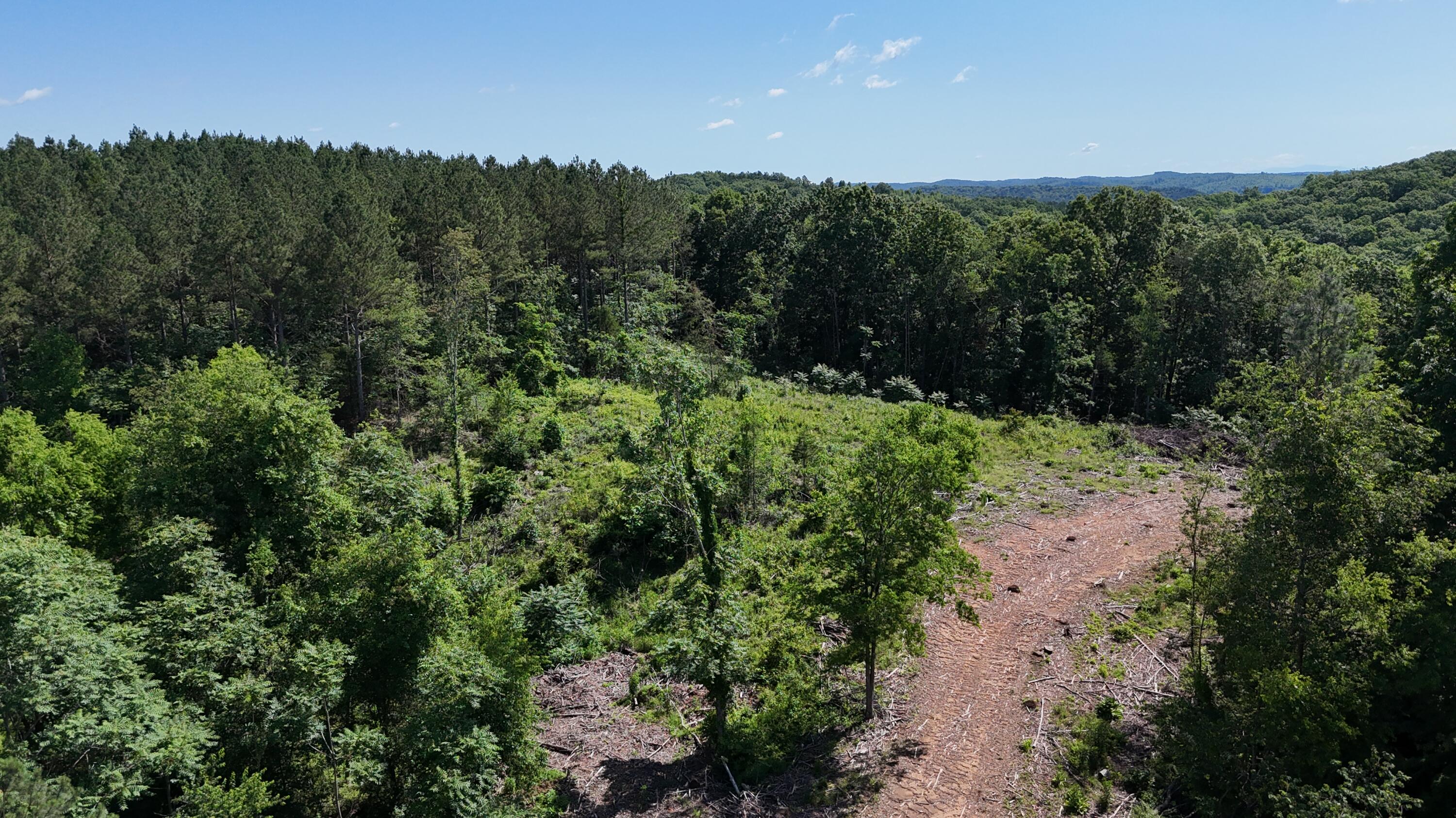 Lot 2 Lamontville Road, Decatur, Tennessee image 3