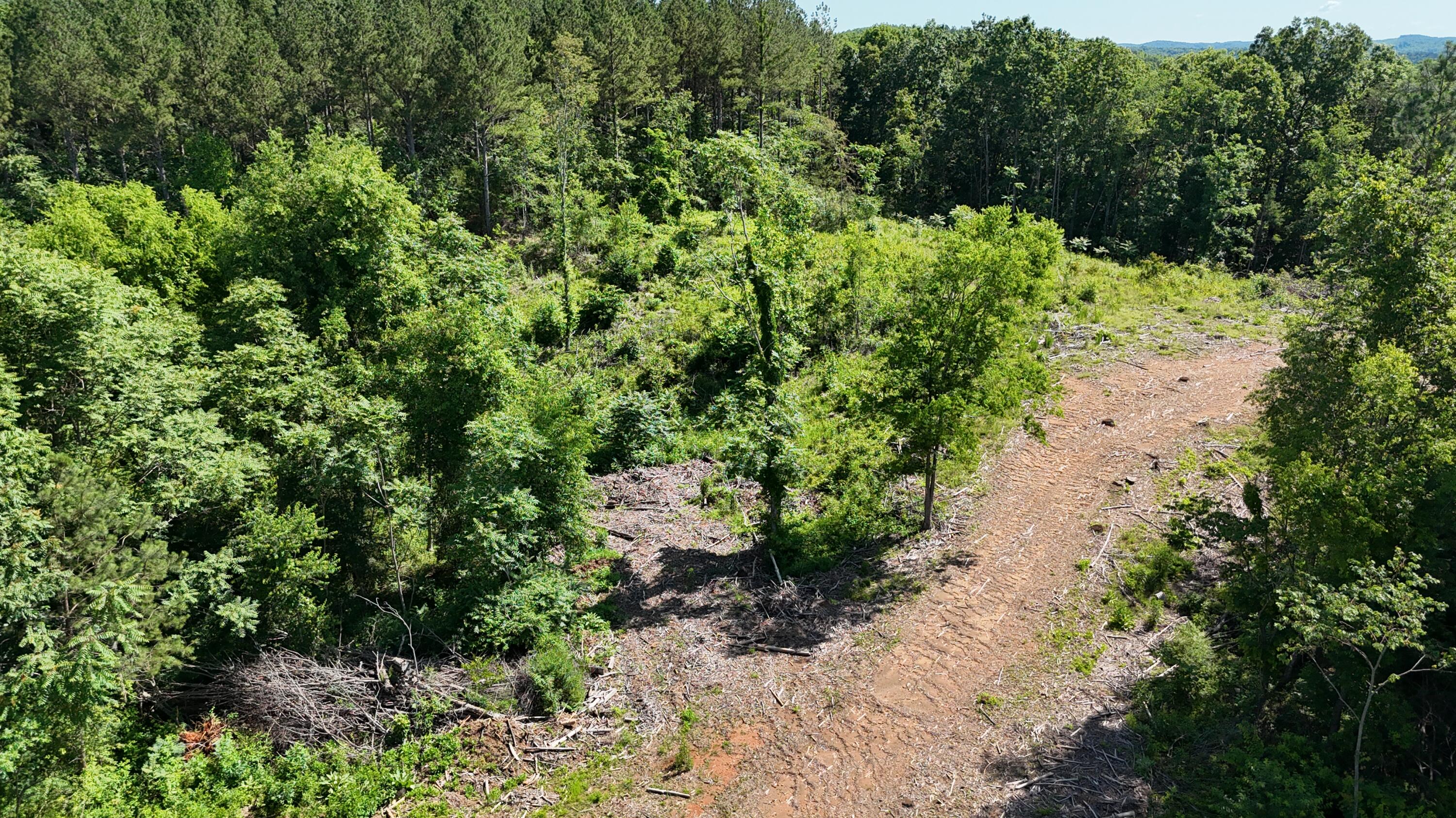 Lot 2 Lamontville Road, Decatur, Tennessee image 1