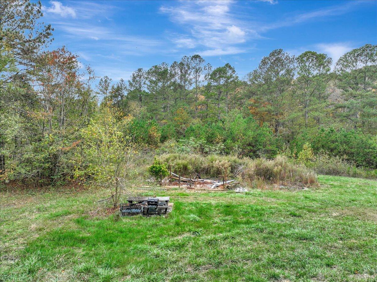 183 Long Hollow Road, Rock Spring, Georgia image 40