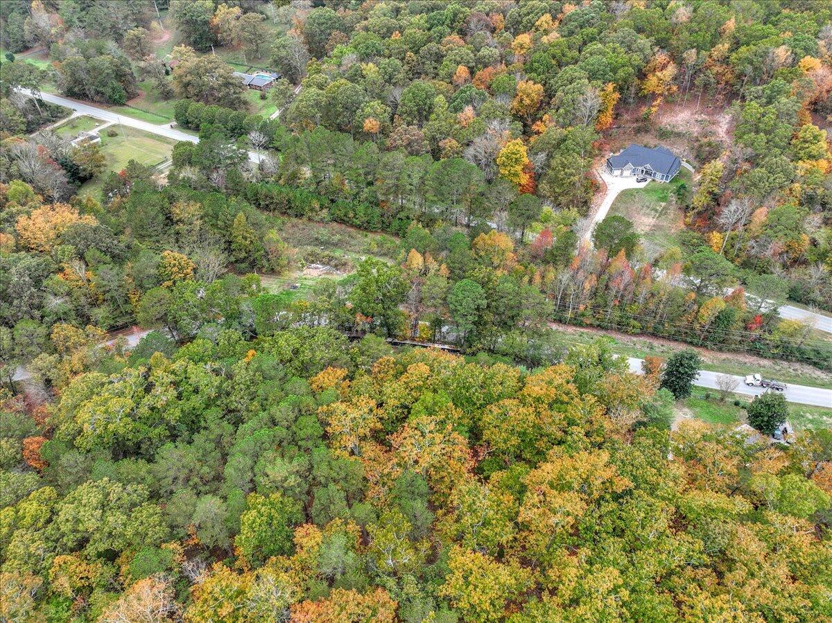 183 Long Hollow Road, Rock Spring, Georgia image 46