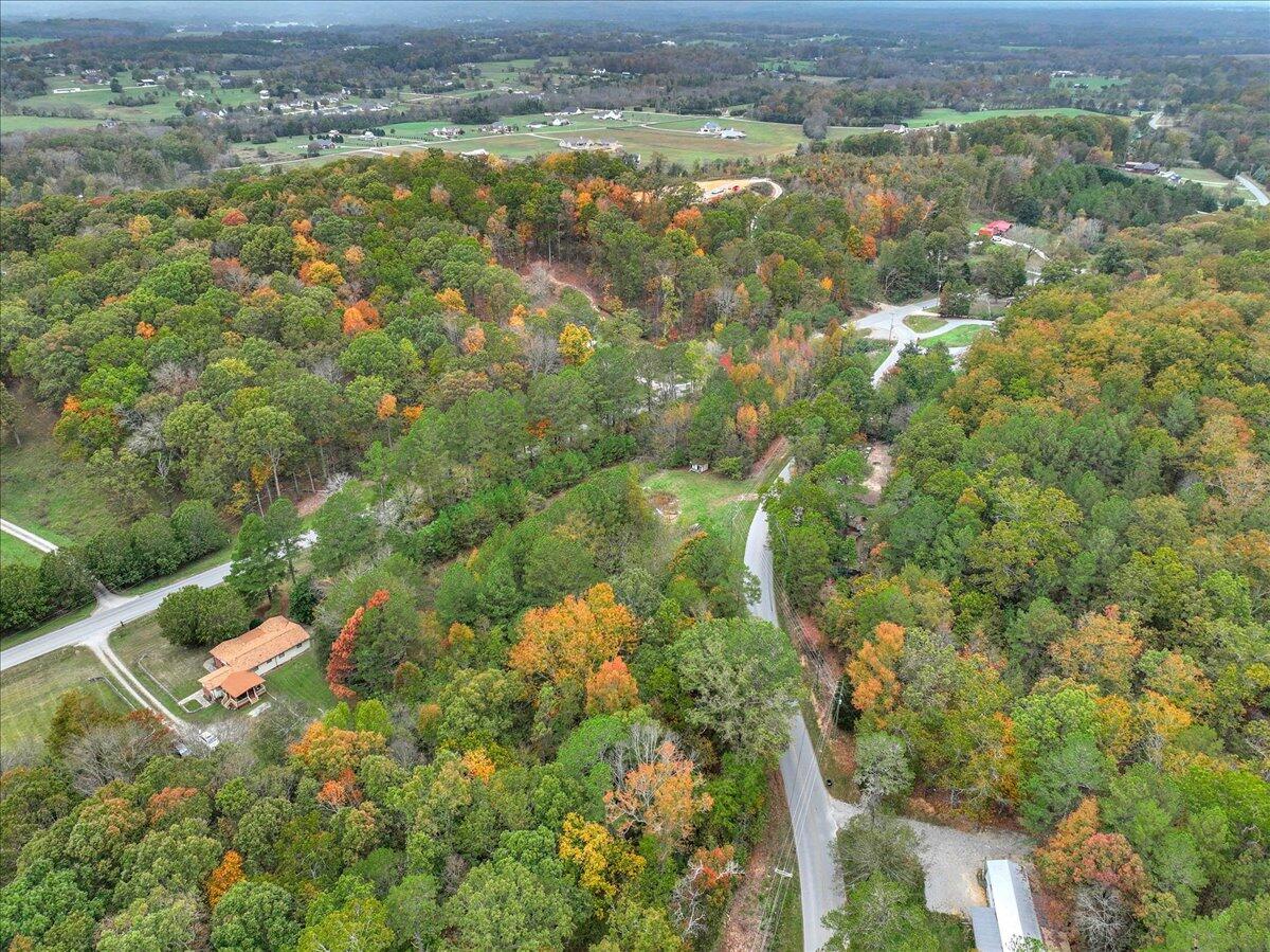 183 Long Hollow Road, Rock Spring, Georgia image 38
