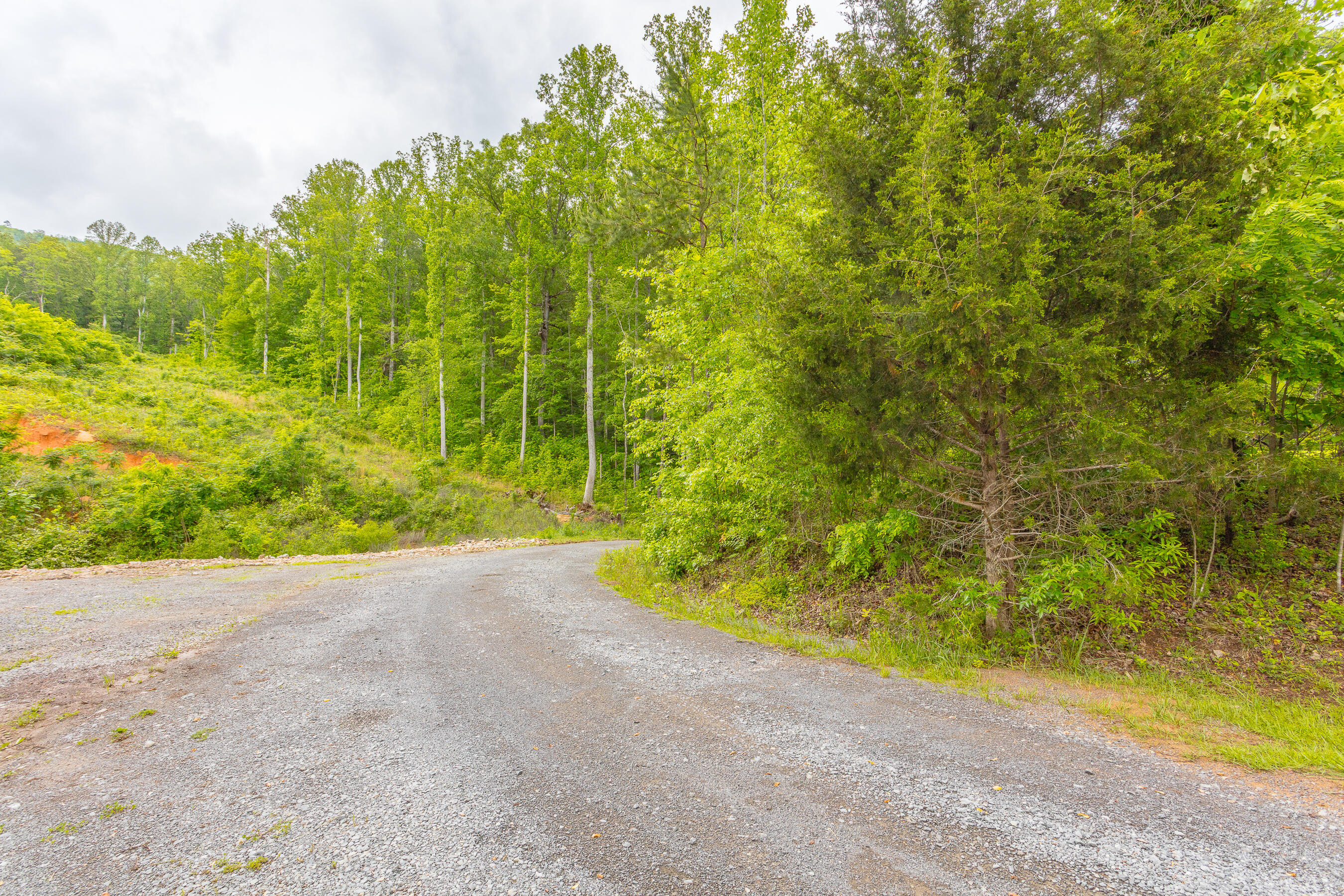 805 Highway 108, Whitwell, Tennessee image 44