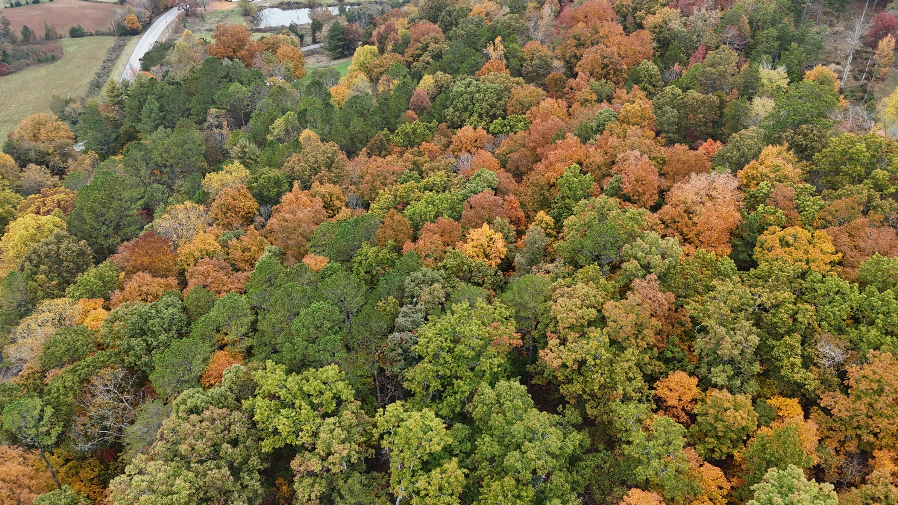 000 Lower River Road, Georgetown, Tennessee image 9