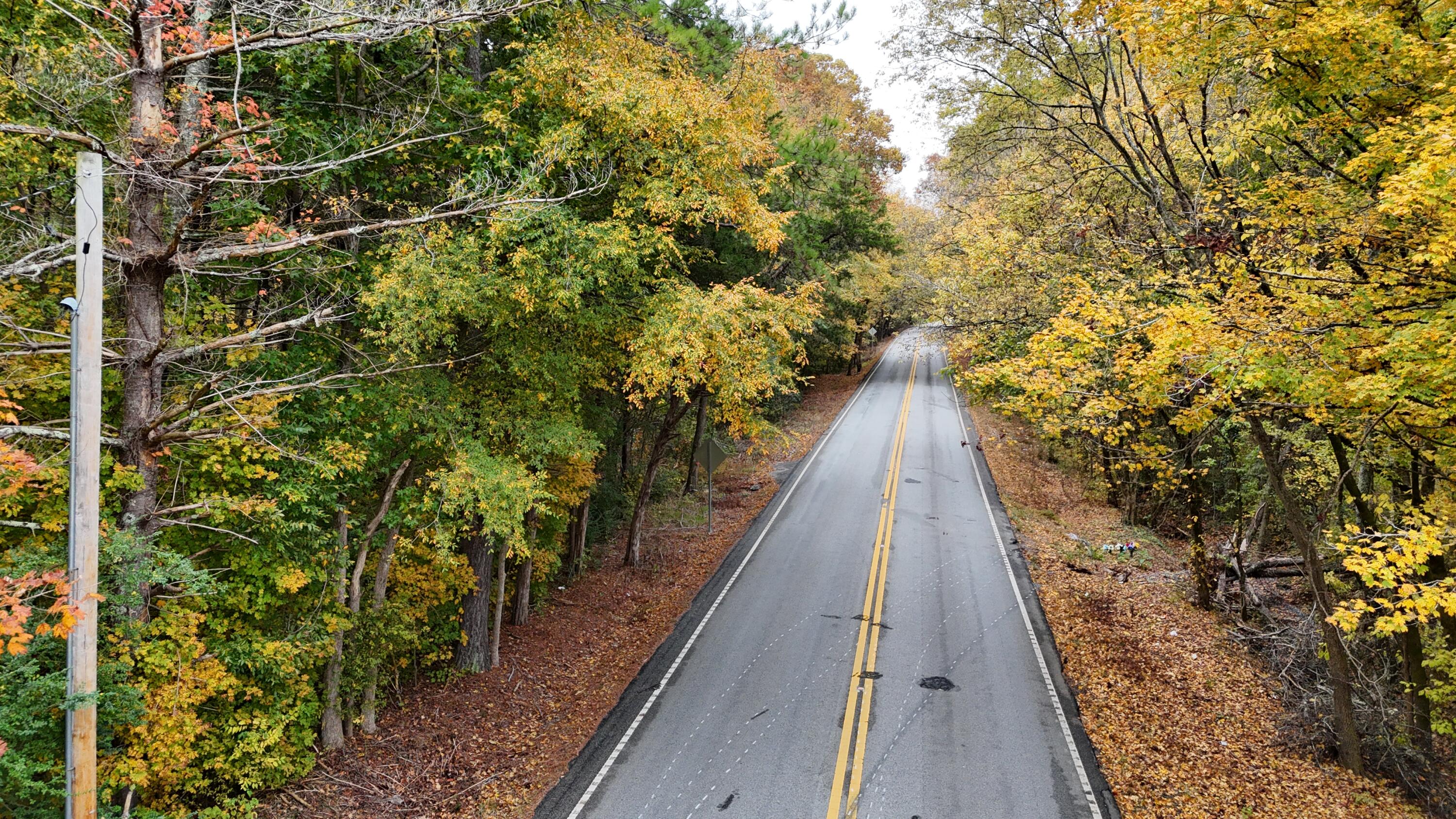 000 Lower River Road, Georgetown, Tennessee image 12