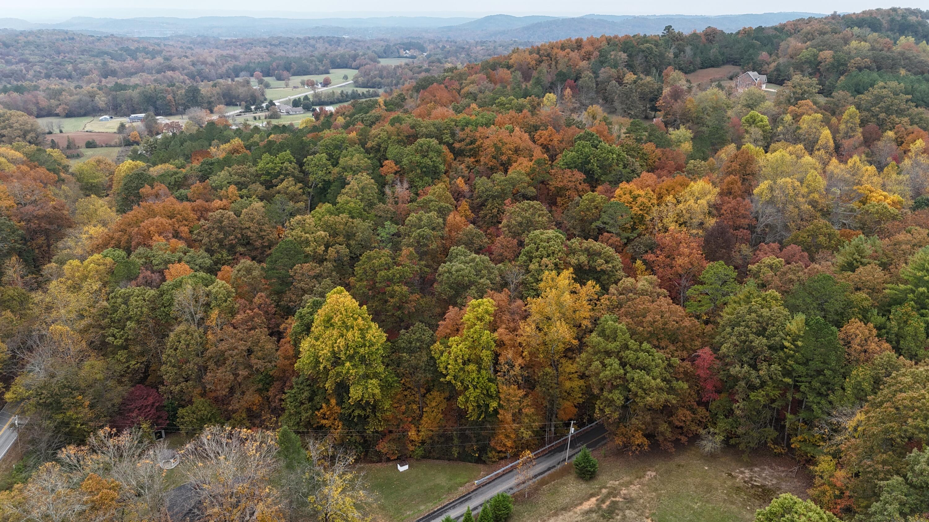 000 Lower River Road, Georgetown, Tennessee image 7