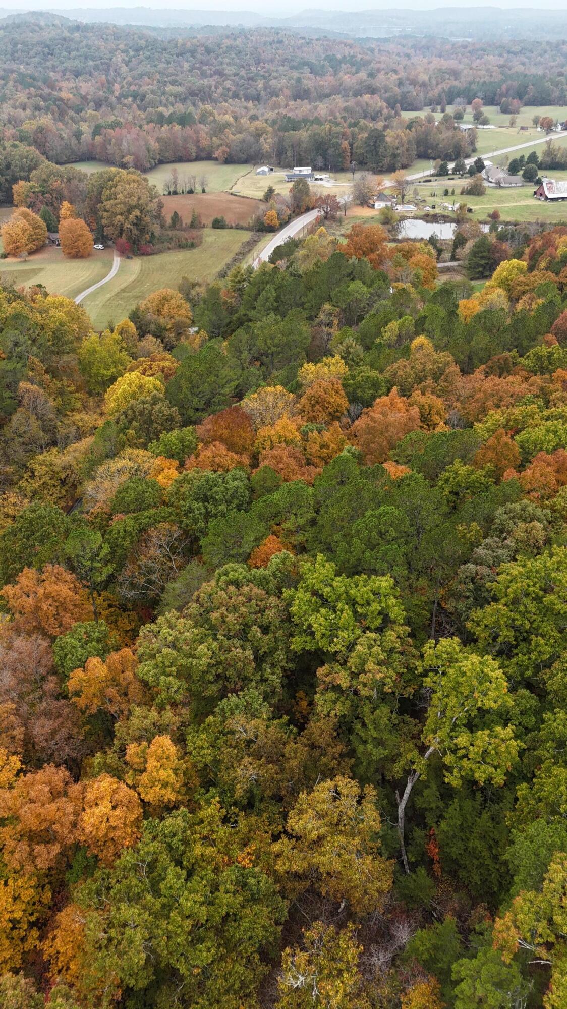 000 Lower River Road, Georgetown, Tennessee image 10