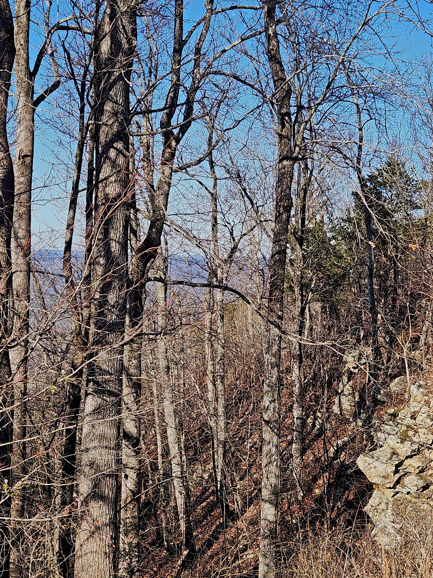 Scenic Highway #23D, Rising Fawn, Georgia image 22
