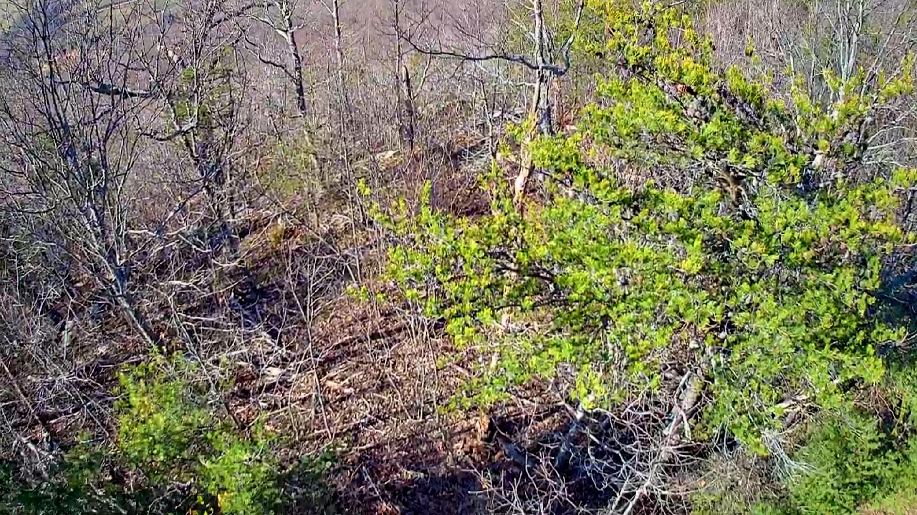 Scenic Highway #23D, Rising Fawn, Georgia image 16