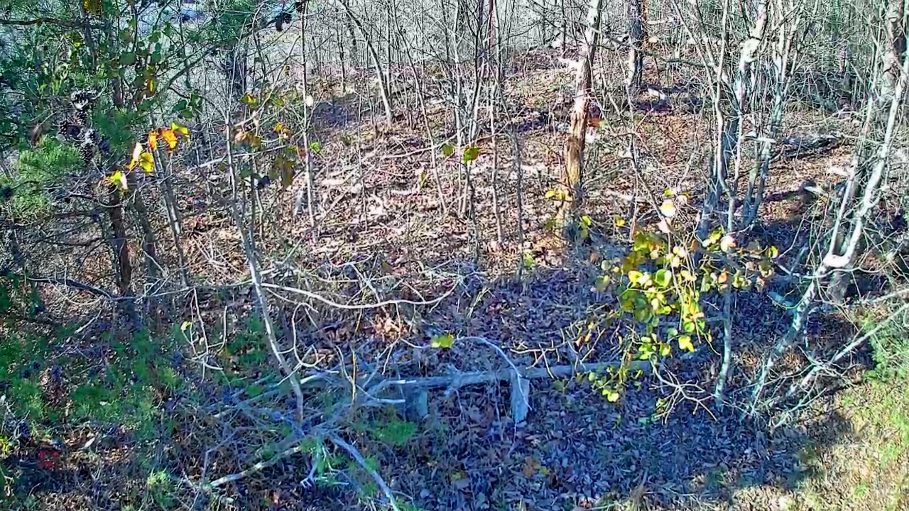Scenic Highway #23D, Rising Fawn, Georgia image 18