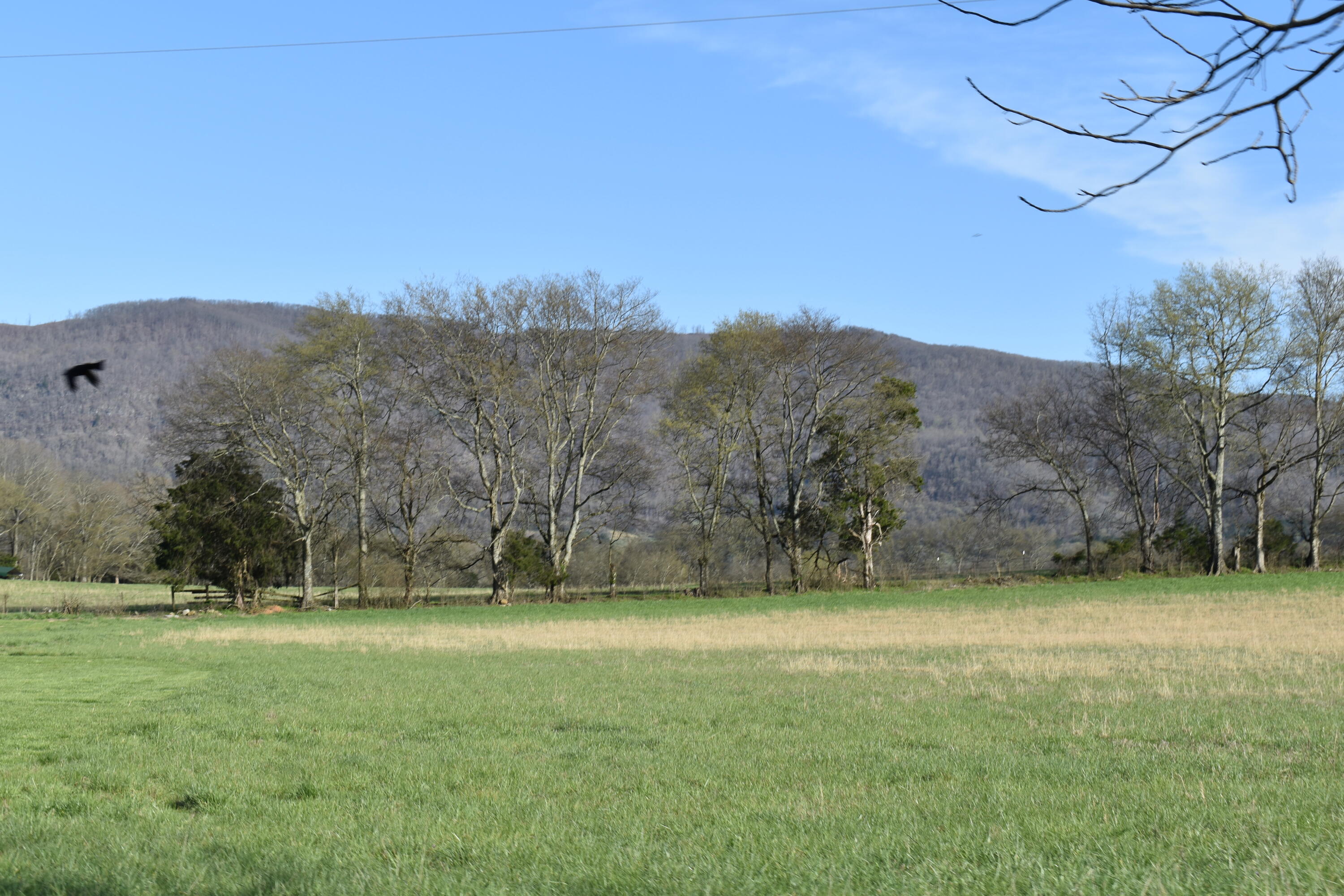 20093 Old State Highway 28, Pikeville, Tennessee image 3