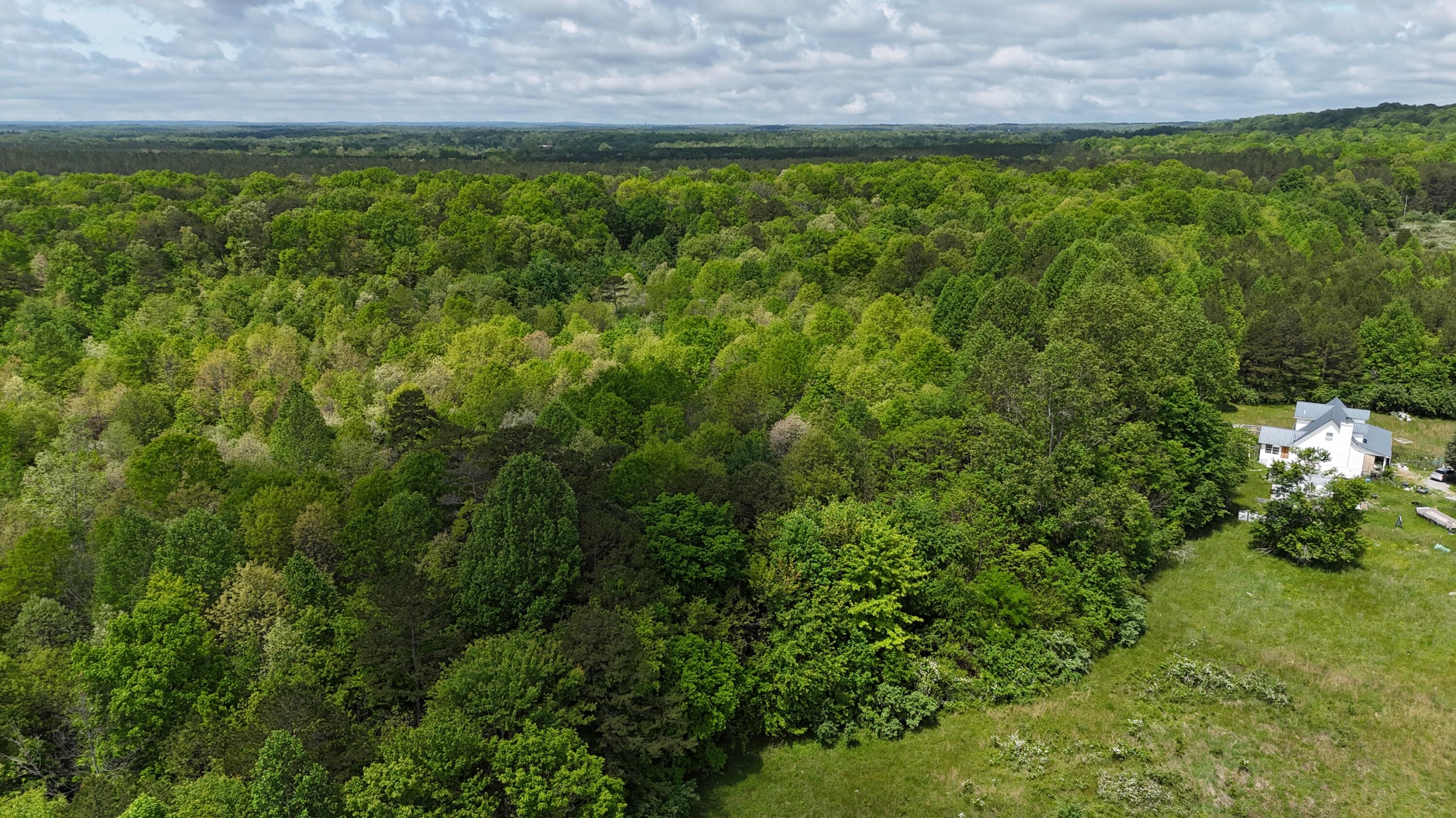 10 Windstone Drive, Tracy City, Tennessee image 15