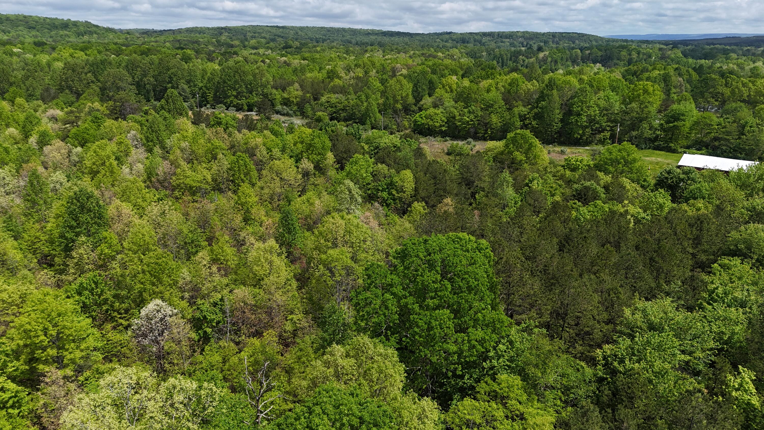 10 Windstone Drive, Tracy City, Tennessee image 25