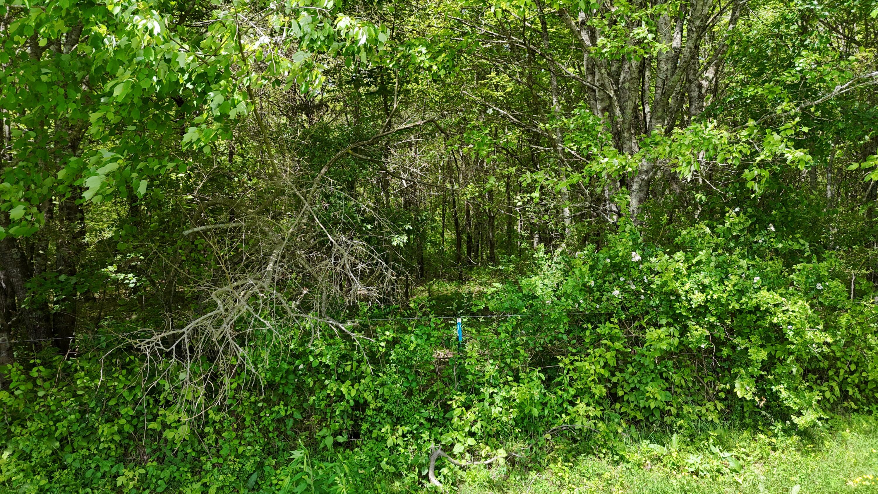 10 Windstone Drive, Tracy City, Tennessee image 38