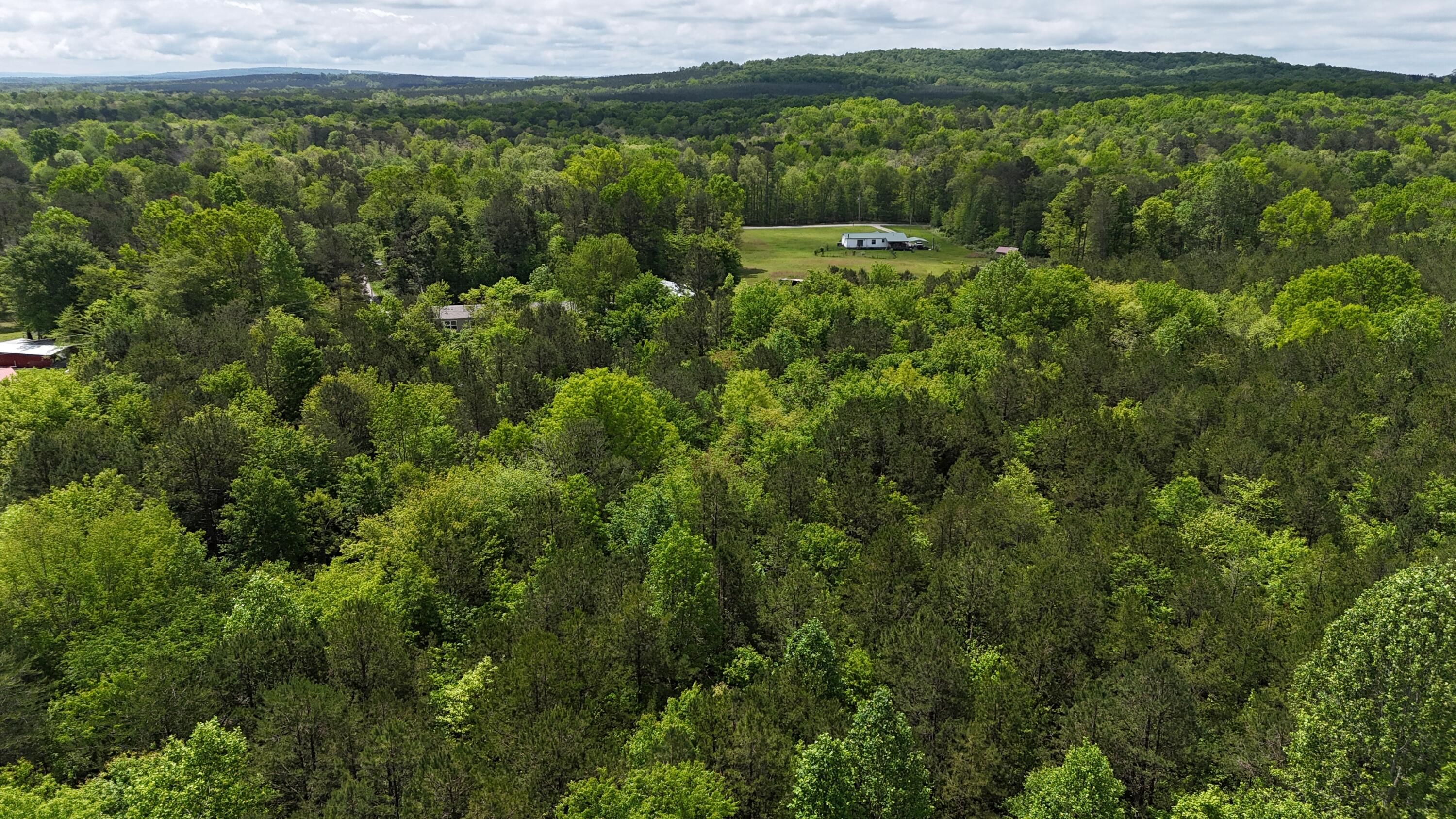 10 Windstone Drive, Tracy City, Tennessee image 31