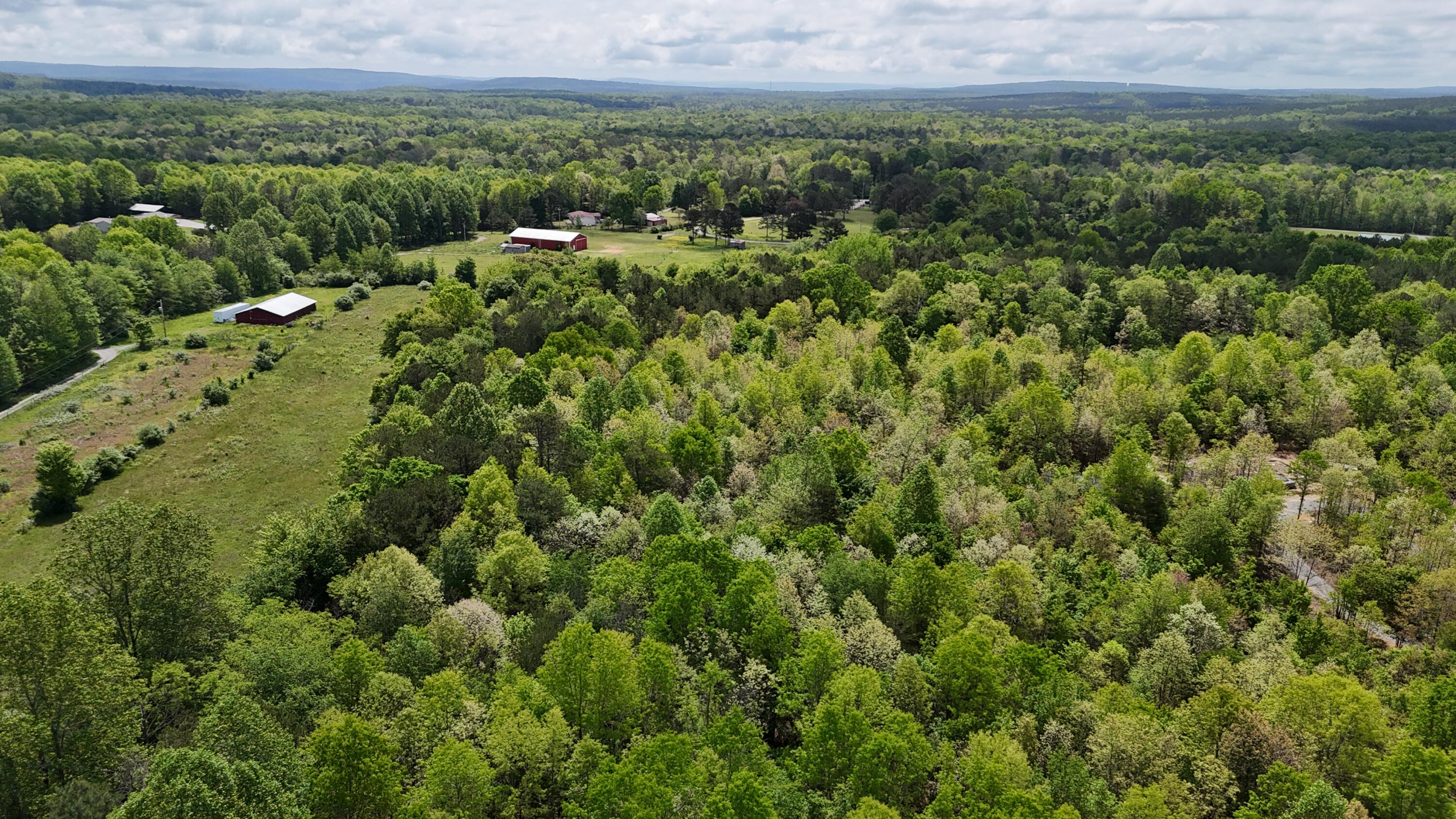 10 Windstone Drive, Tracy City, Tennessee image 17