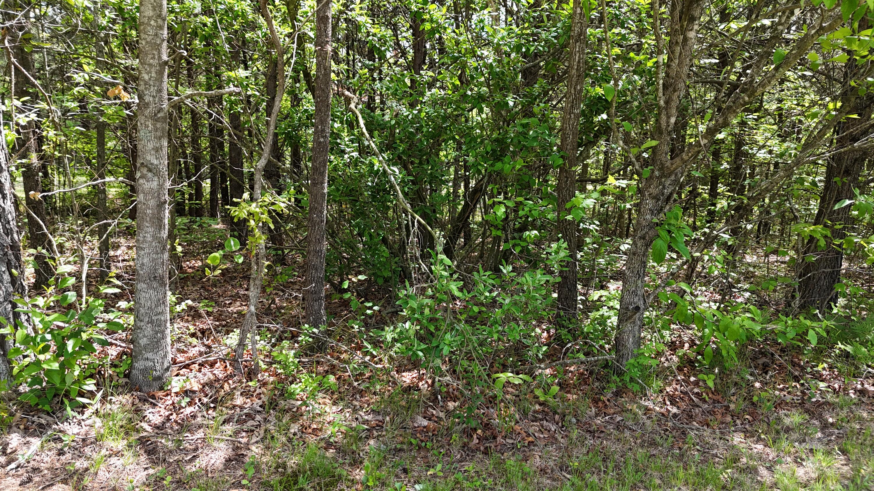 10 Windstone Drive, Tracy City, Tennessee image 46