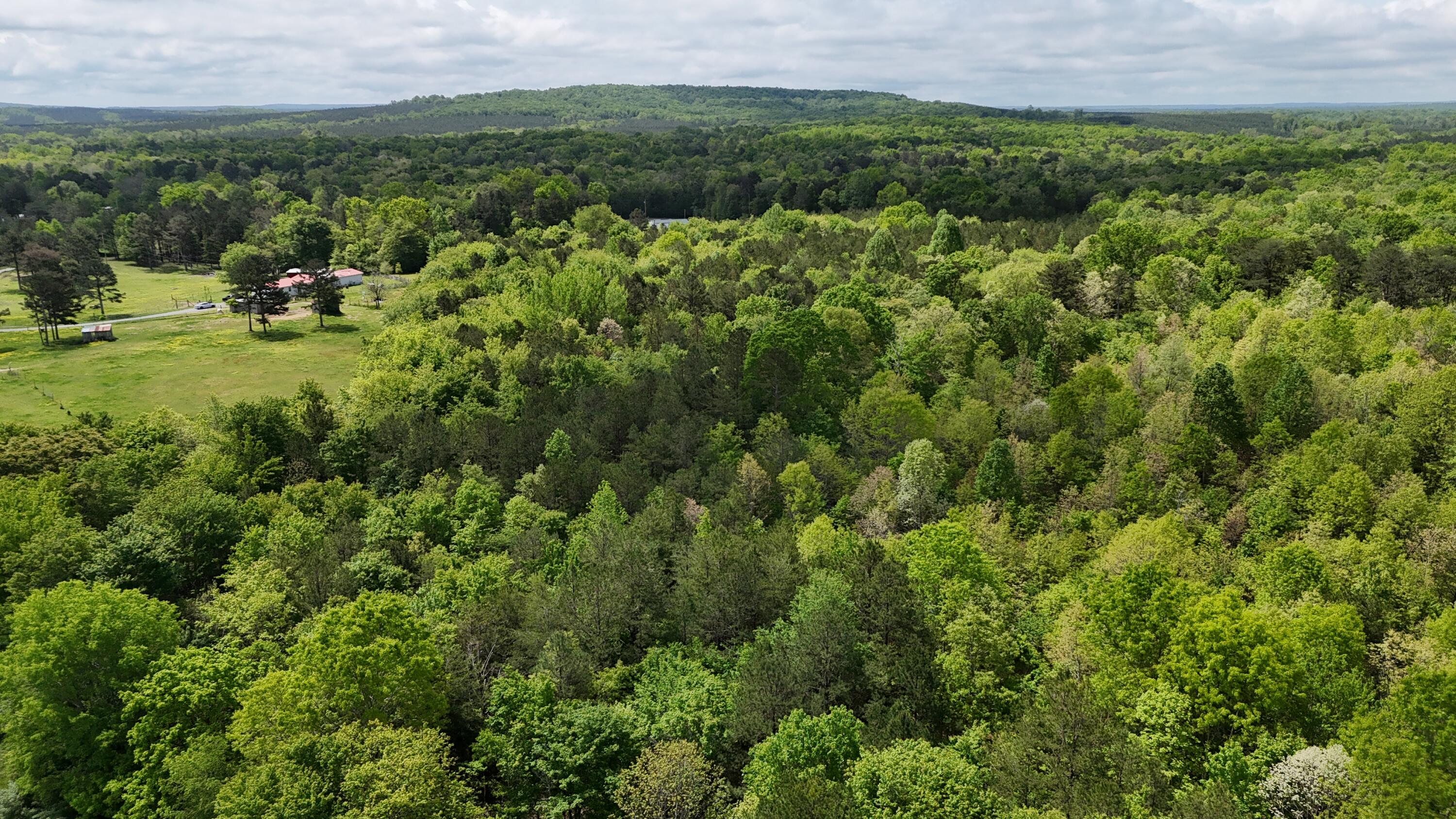 10 Windstone Drive, Tracy City, Tennessee image 11