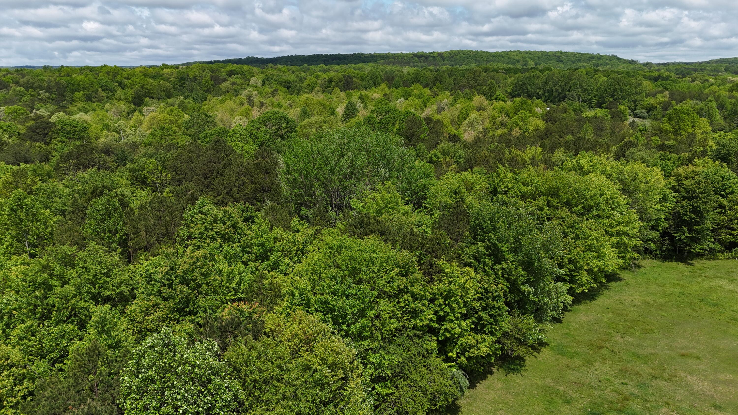 10 Windstone Drive, Tracy City, Tennessee image 36