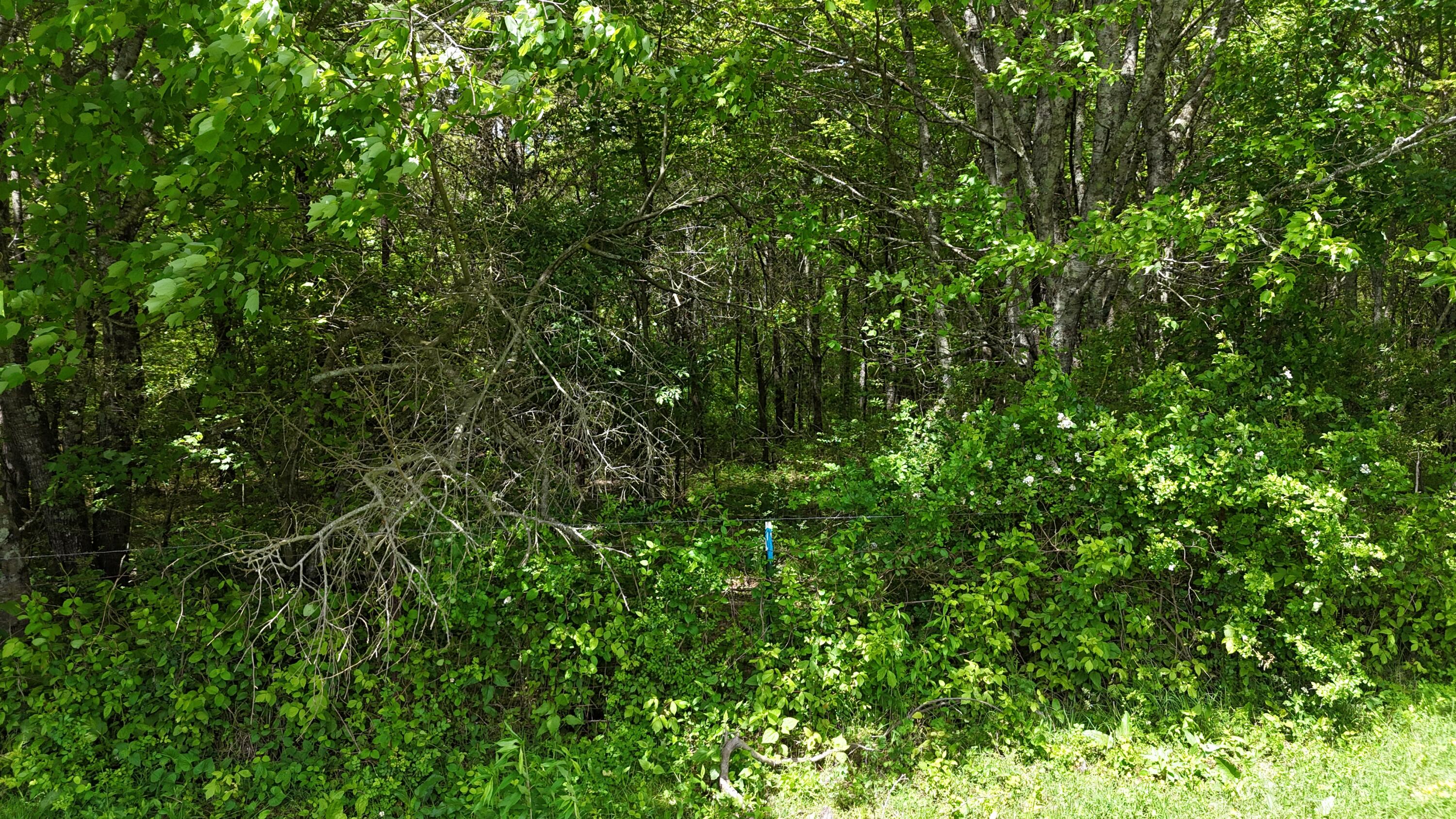 10 Windstone Drive, Tracy City, Tennessee image 42