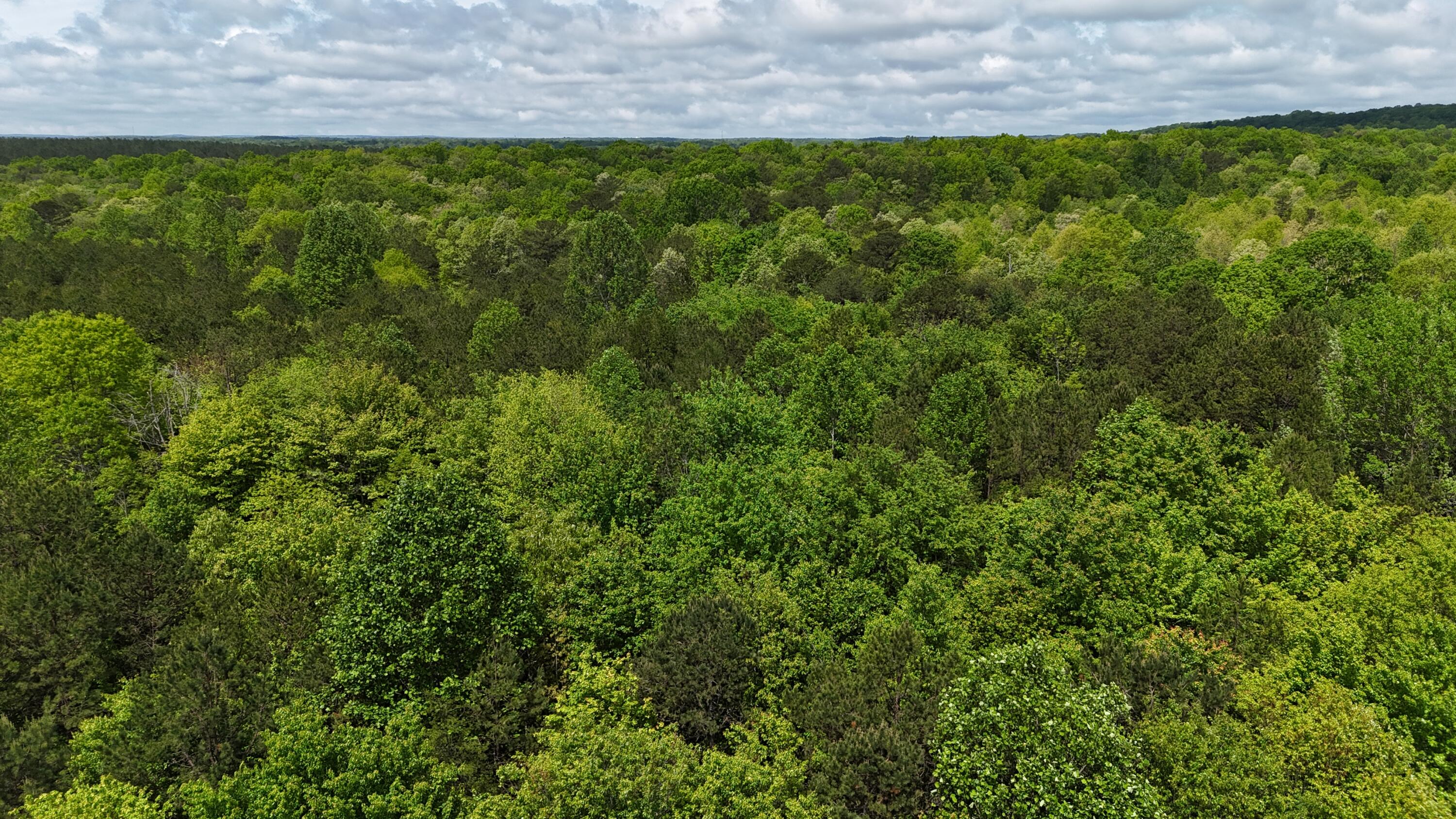 10 Windstone Drive, Tracy City, Tennessee image 26