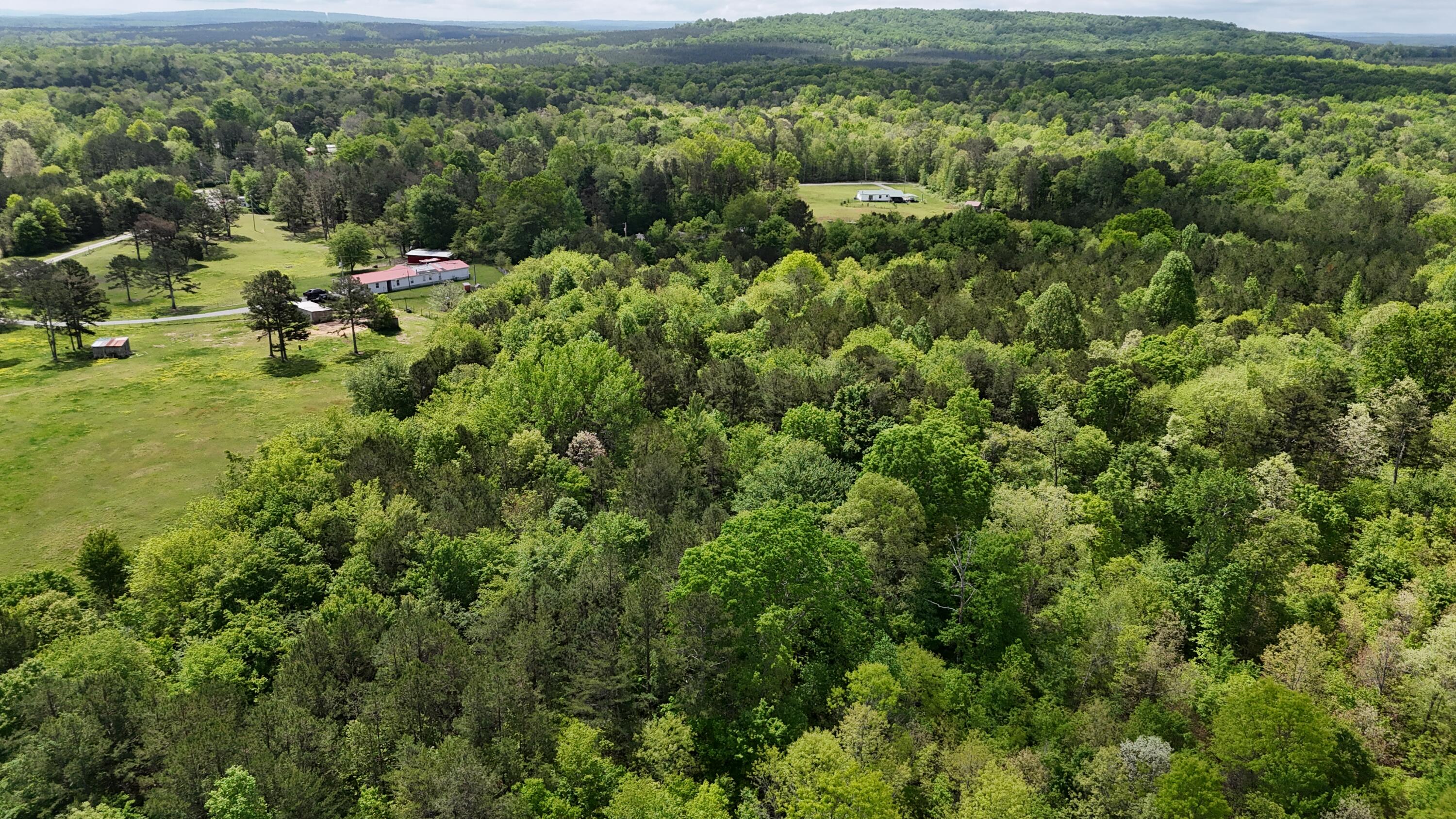 10 Windstone Drive, Tracy City, Tennessee image 21