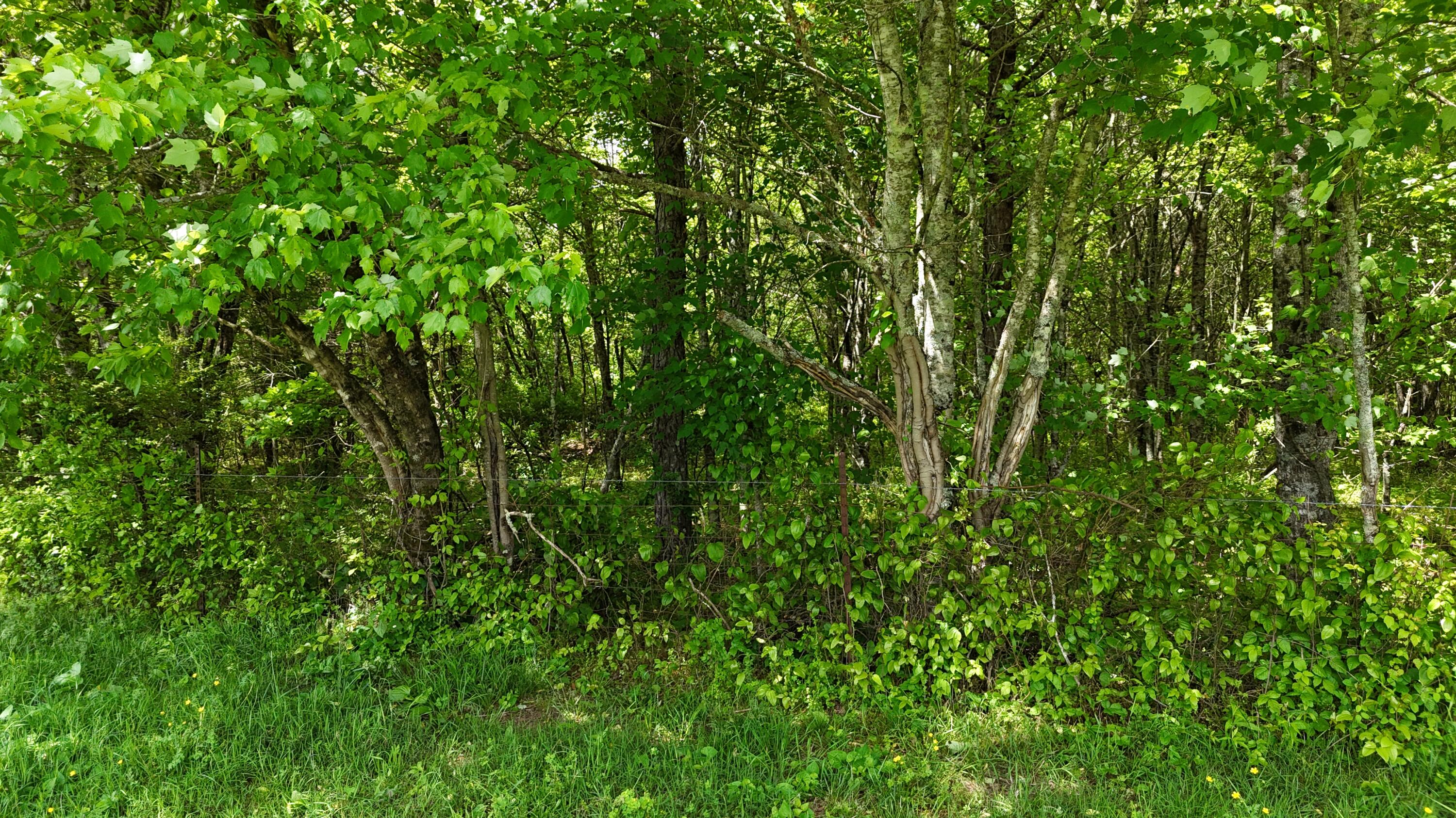 10 Windstone Drive, Tracy City, Tennessee image 35