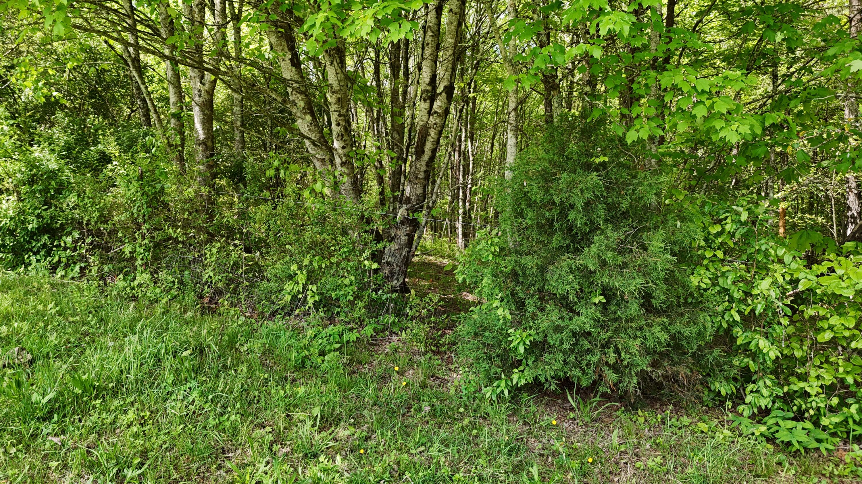 10 Windstone Drive, Tracy City, Tennessee image 41