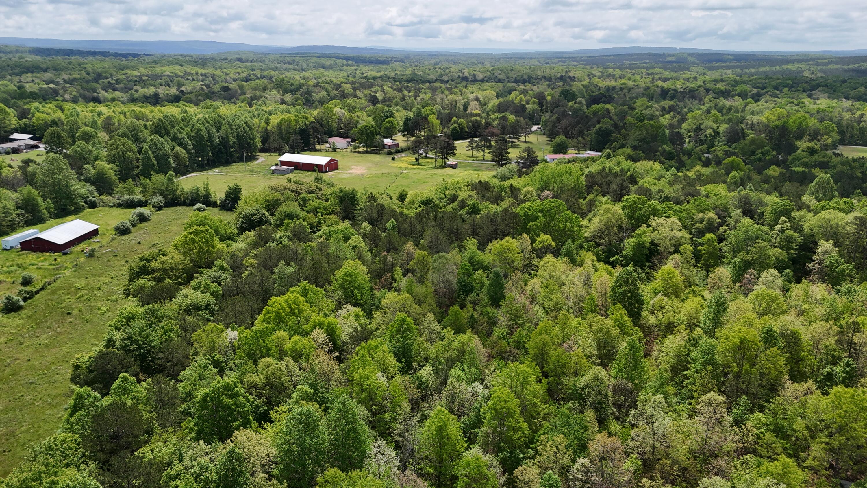 10 Windstone Drive, Tracy City, Tennessee image 20