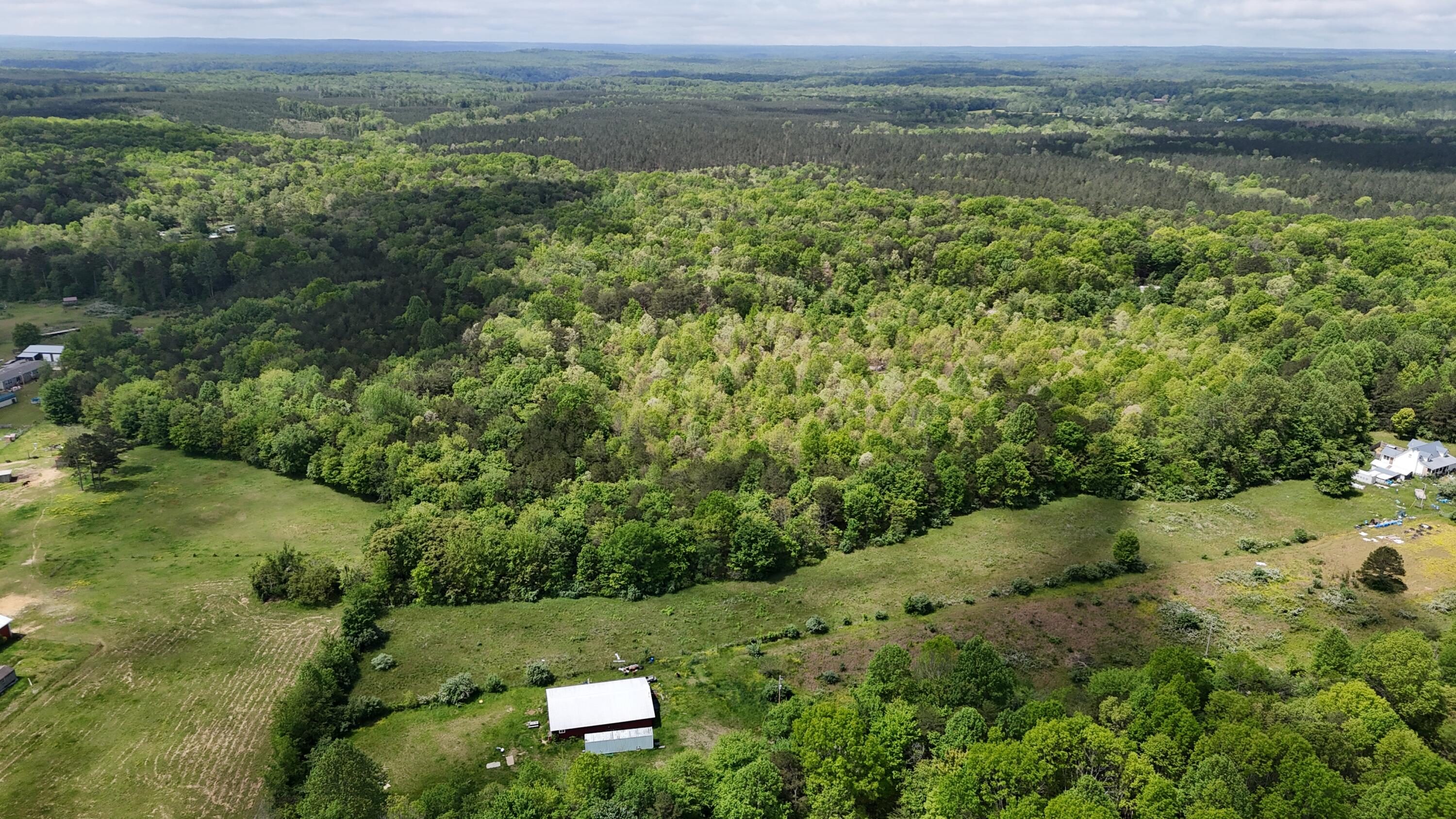 10 Windstone Drive, Tracy City, Tennessee image 8