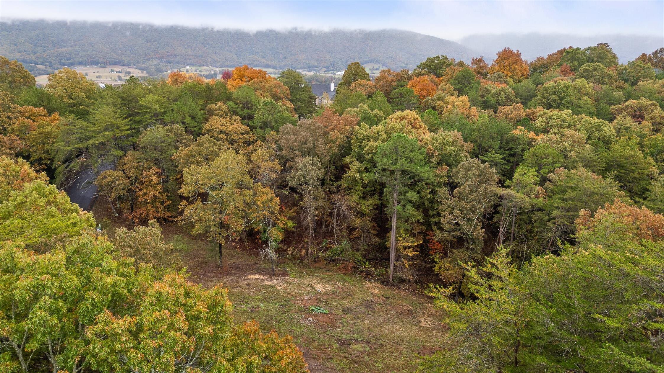 Dunlap, Tennessee 37327, United States, ,Land,Active,236211