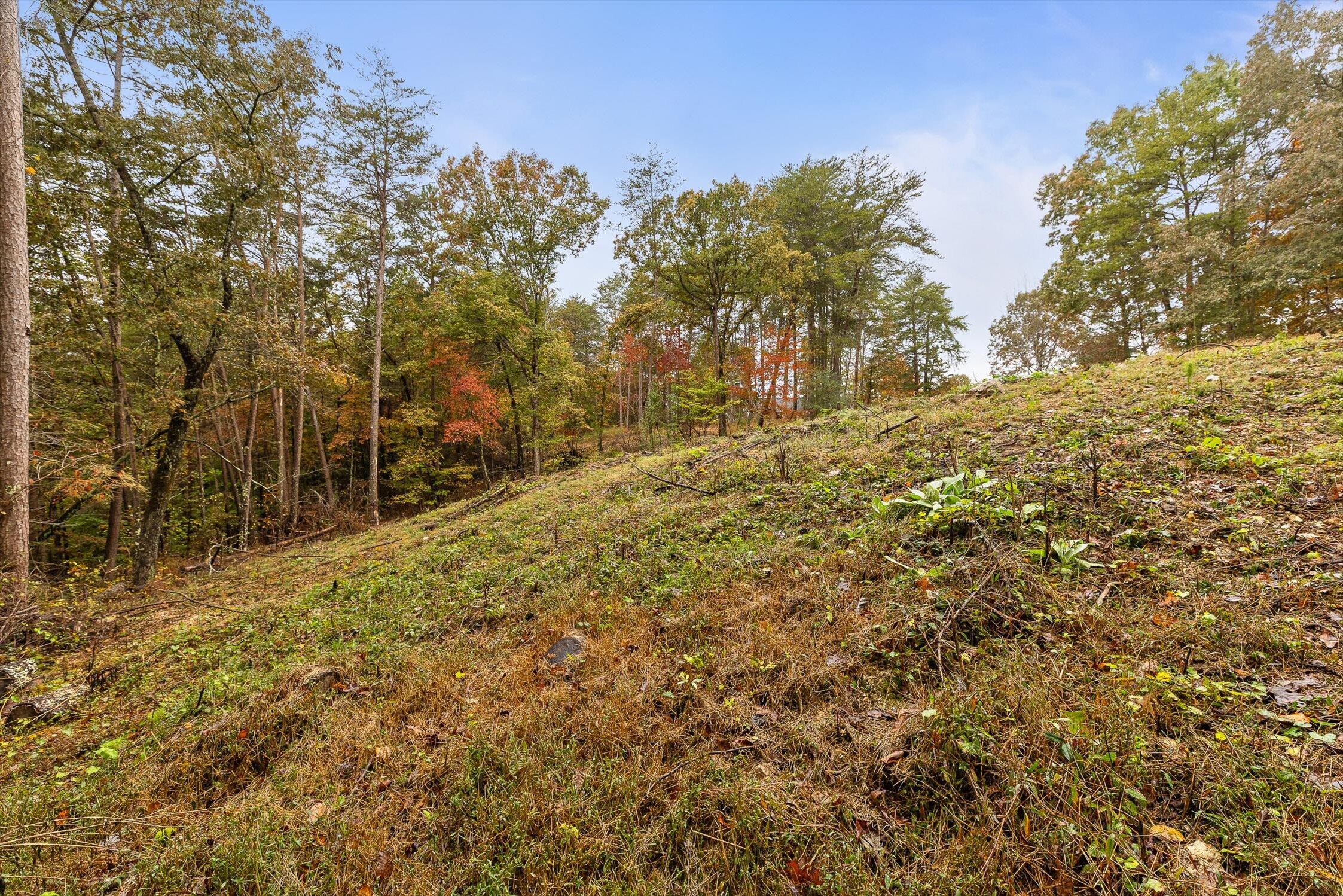 Dunlap, Tennessee 37327, United States, ,Land,Active,236211