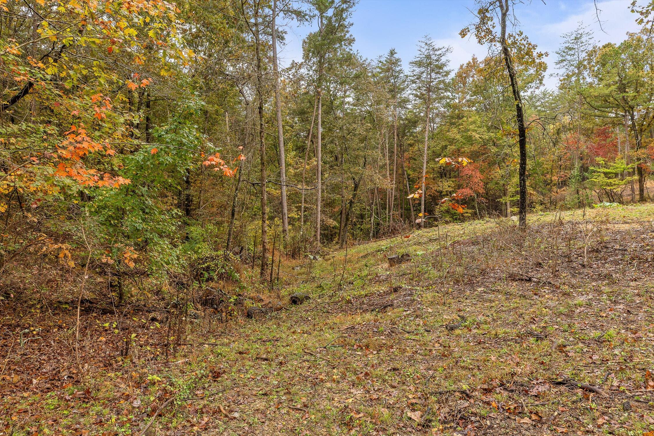 Dunlap, Tennessee 37327, United States, ,Land,Active,236211