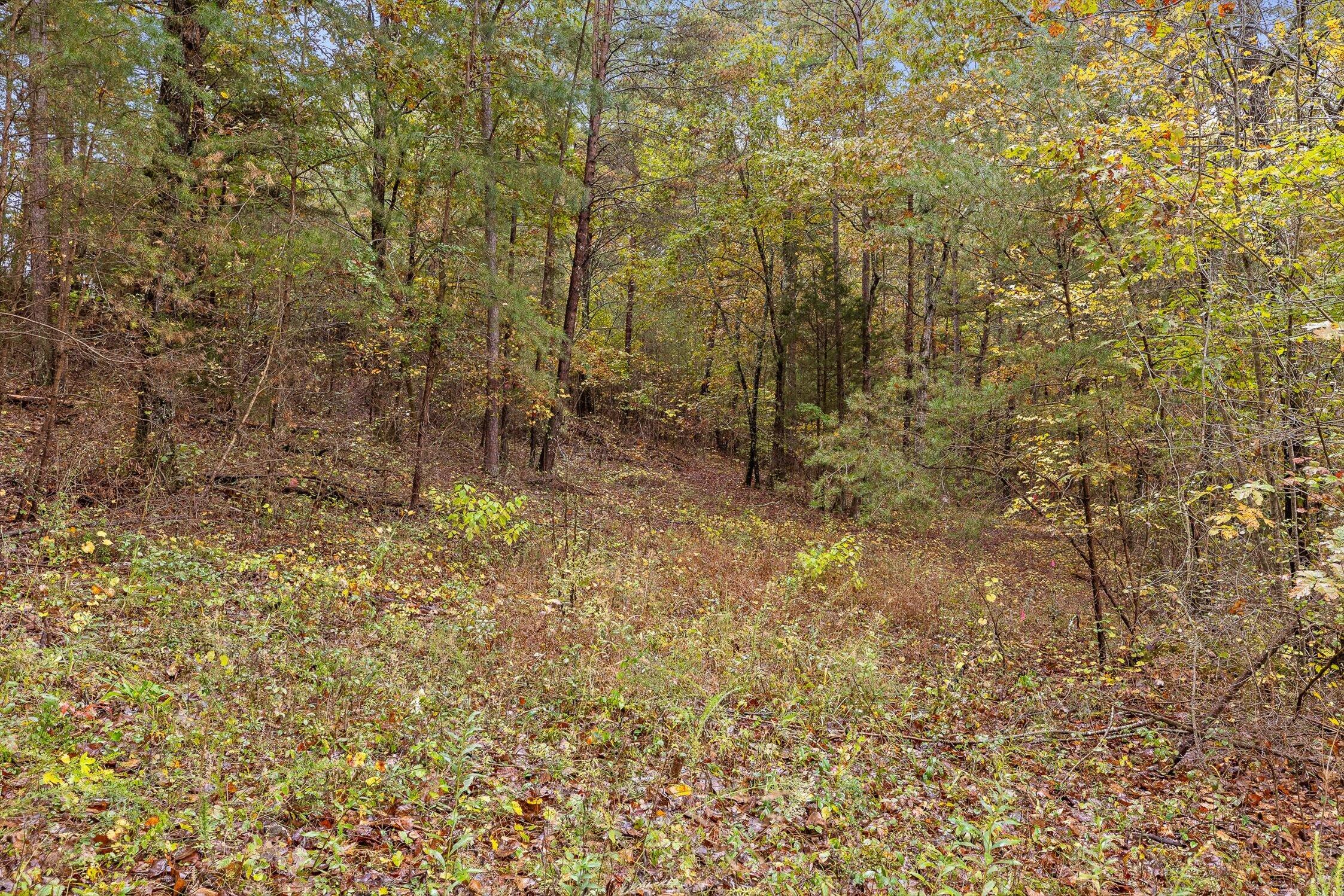 Dunlap, Tennessee 37327, United States, ,Land,Active,236211