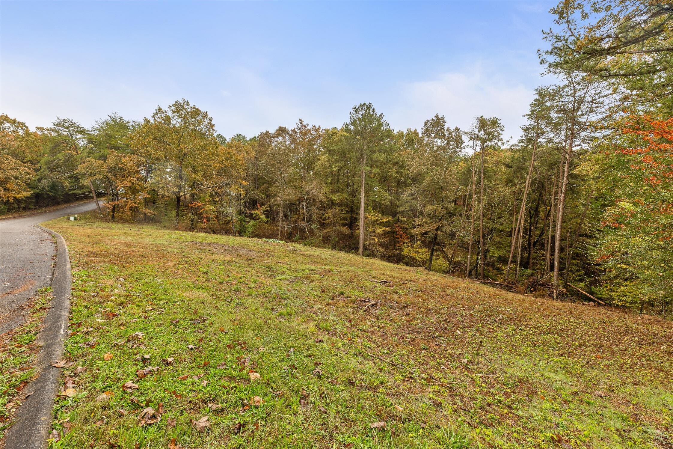 Dunlap, Tennessee 37327, United States, ,Land,Active,236211