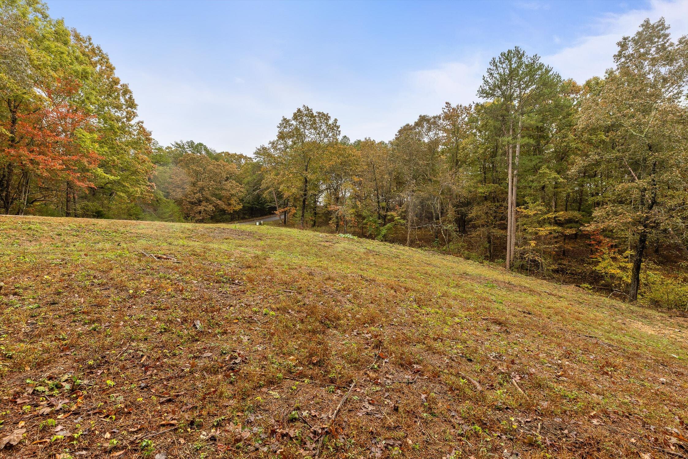 Dunlap, Tennessee 37327, United States, ,Land,Active,236211