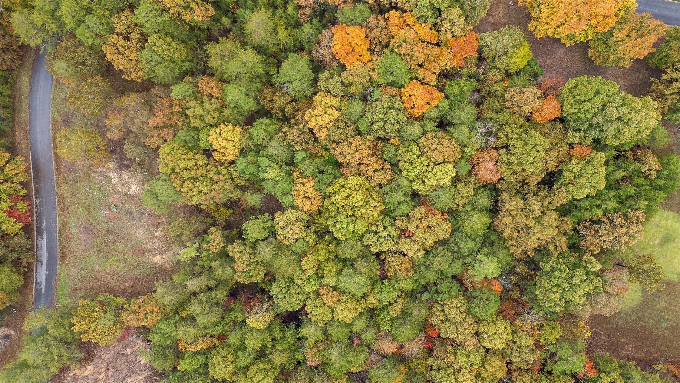 Dunlap, Tennessee 37327, United States, ,Land,Active,236211