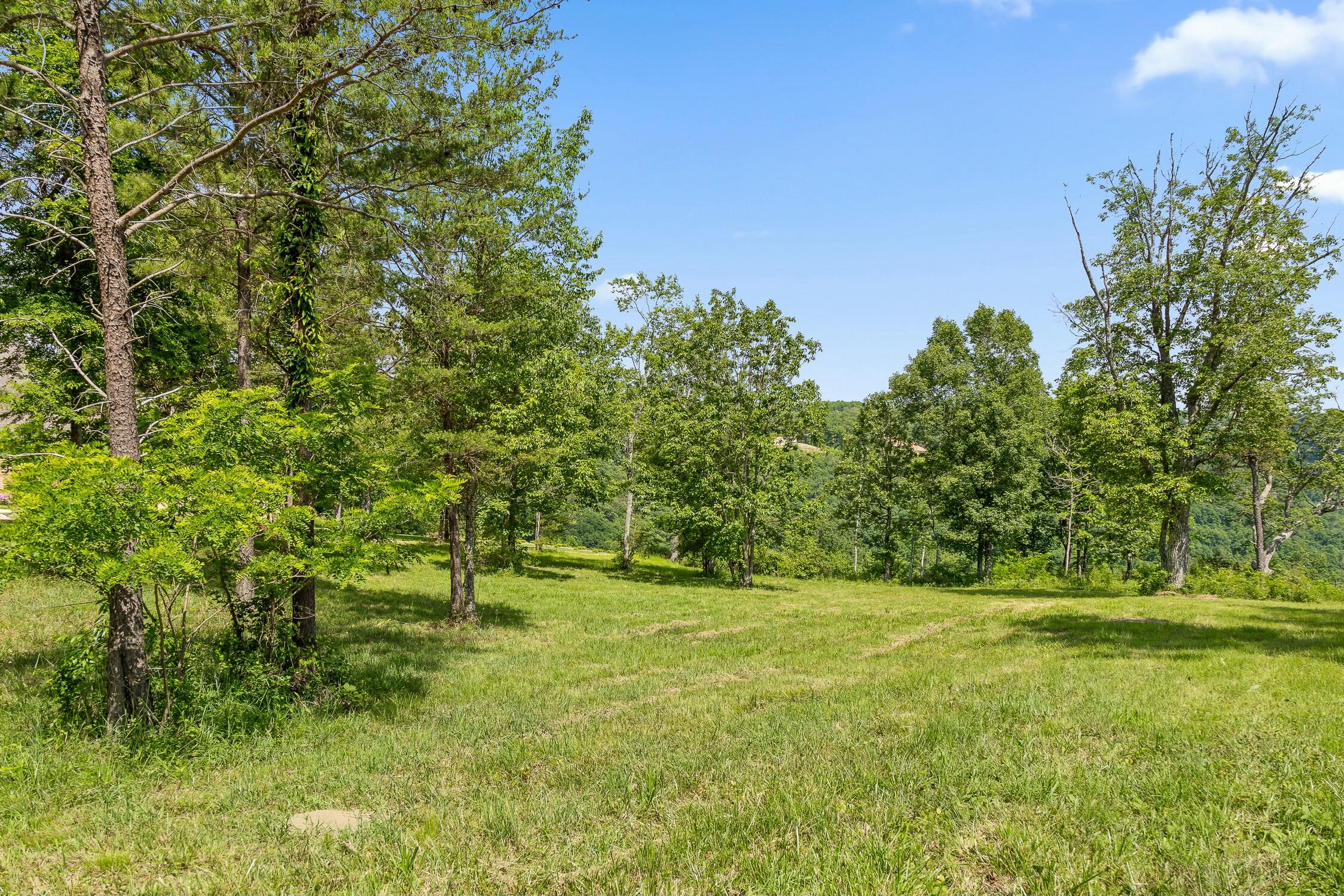 Sunset Circle, Jasper, Tennessee image 6
