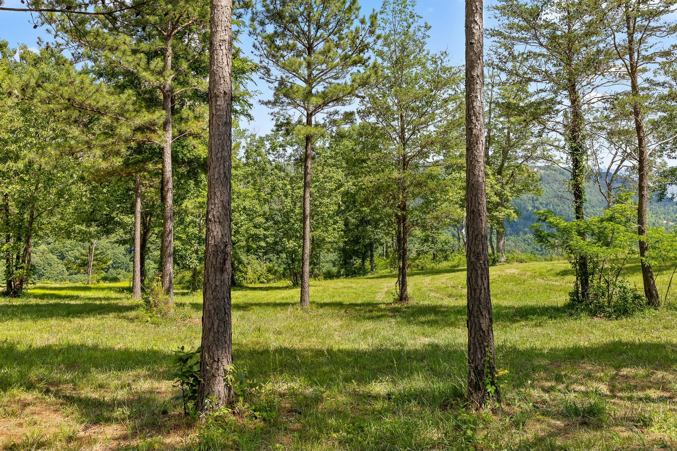 Sunset Circle, Jasper, Tennessee image 5