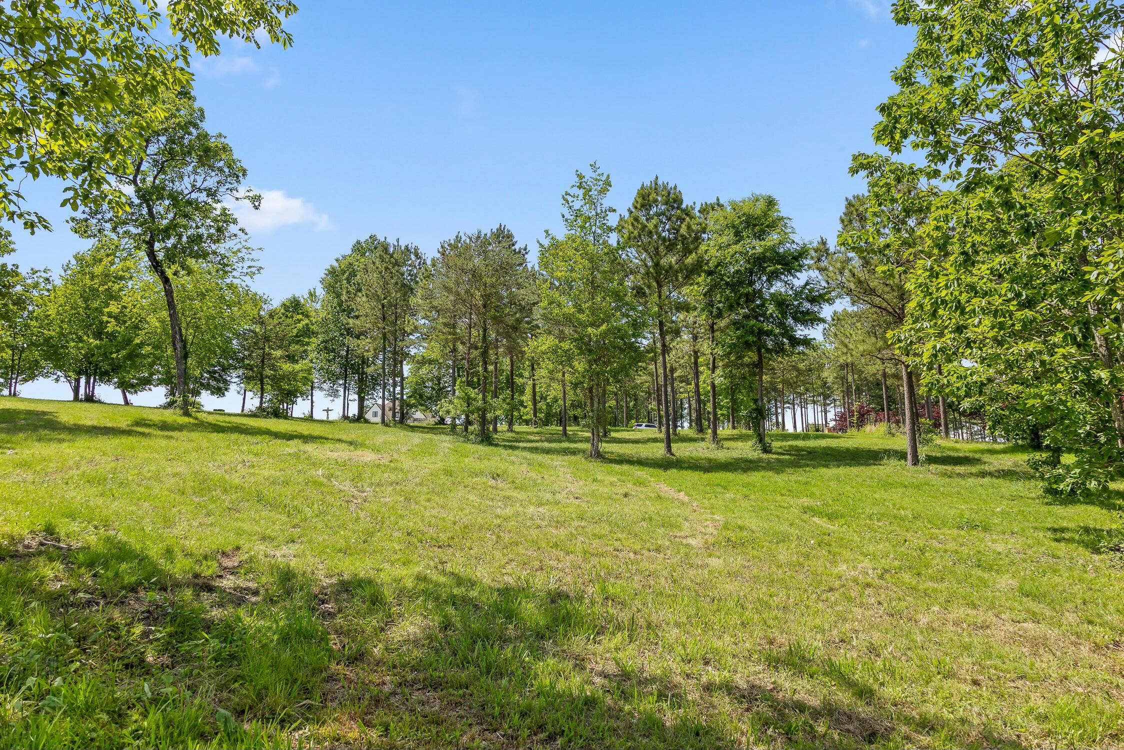 Sunset Circle, Jasper, Tennessee image 9